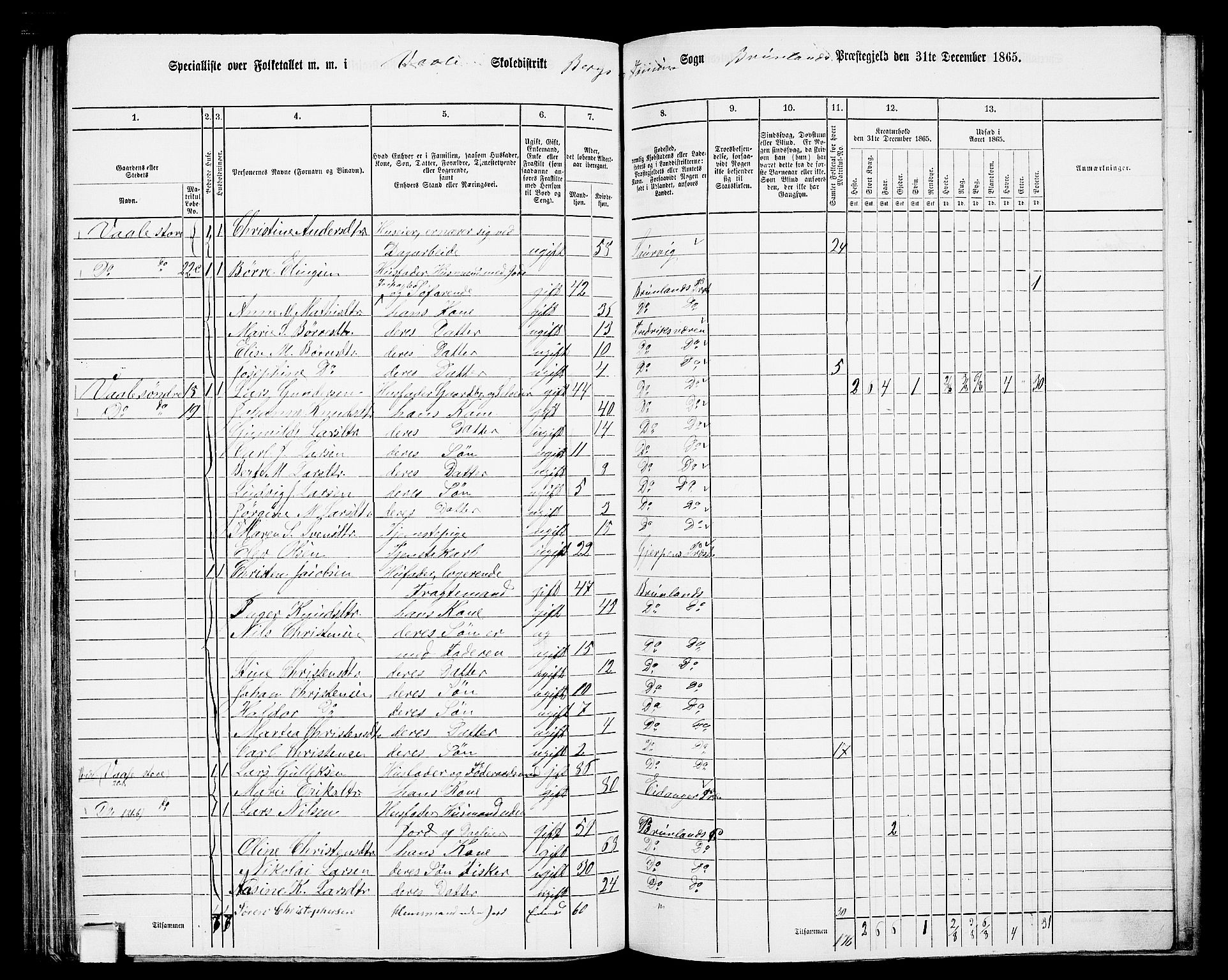 RA, 1865 census for Brunlanes, 1865, p. 121