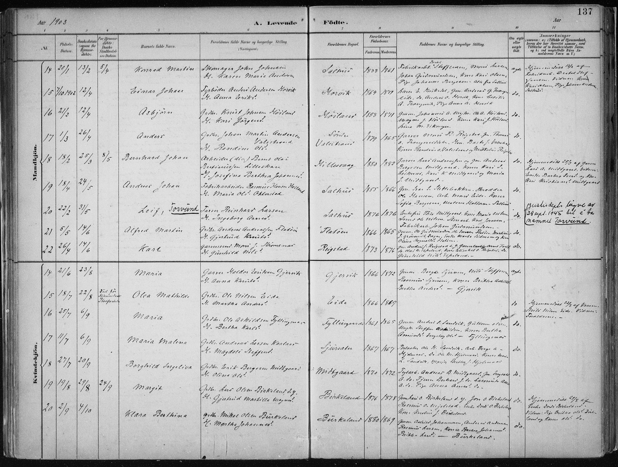 Hamre sokneprestembete, AV/SAB-A-75501/H/Ha/Haa/Haab/L0001: Parish register (official) no. B  1, 1882-1905, p. 137