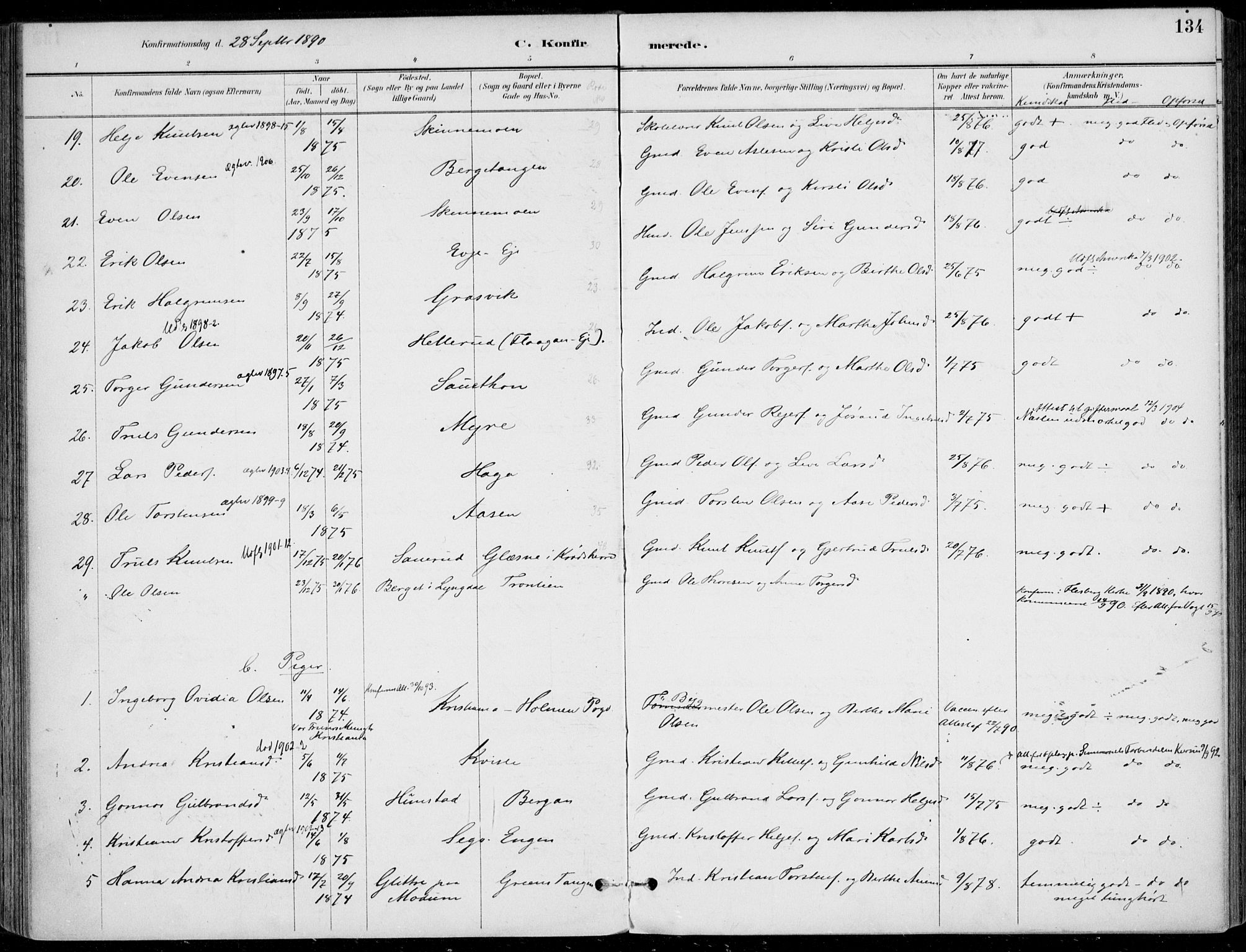 Sigdal kirkebøker, AV/SAKO-A-245/F/Fb/L0001: Parish register (official) no. II 1, 1888-1900, p. 134