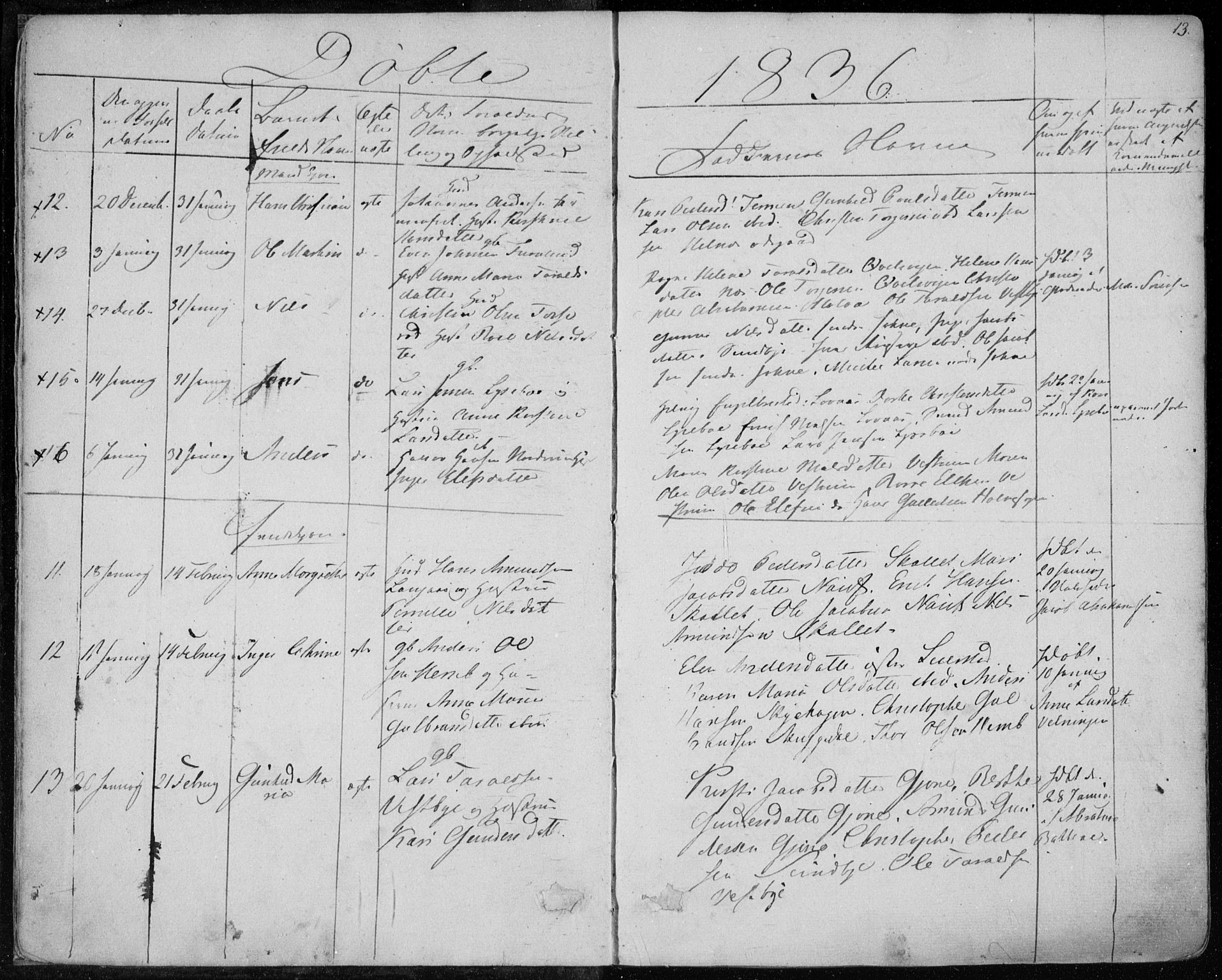 Hedrum kirkebøker, AV/SAKO-A-344/F/Fa/L0005: Parish register (official) no. I 5, 1835-1848, p. 13