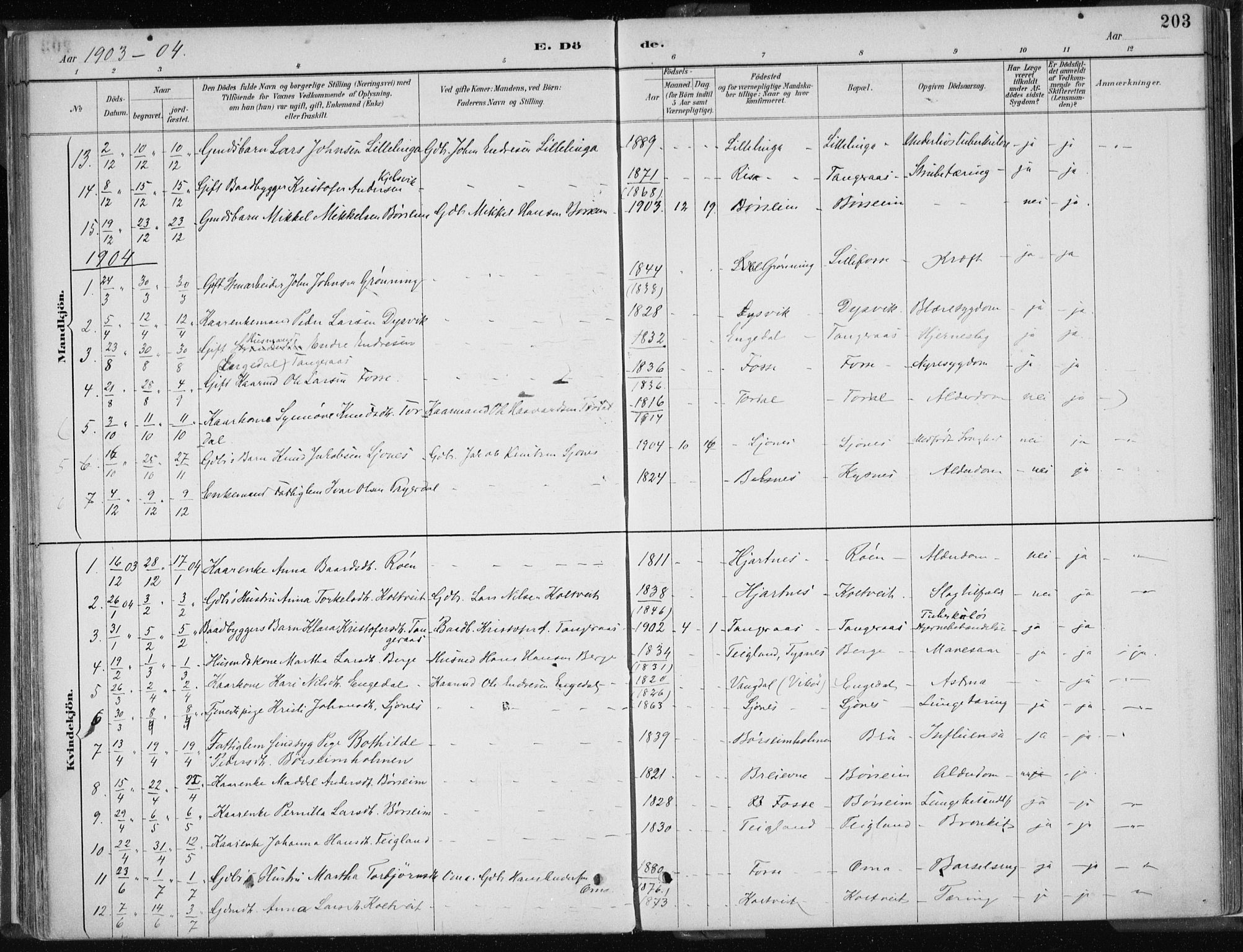 Strandebarm sokneprestembete, AV/SAB-A-78401/H/Haa: Parish register (official) no. B  1, 1886-1908, p. 203