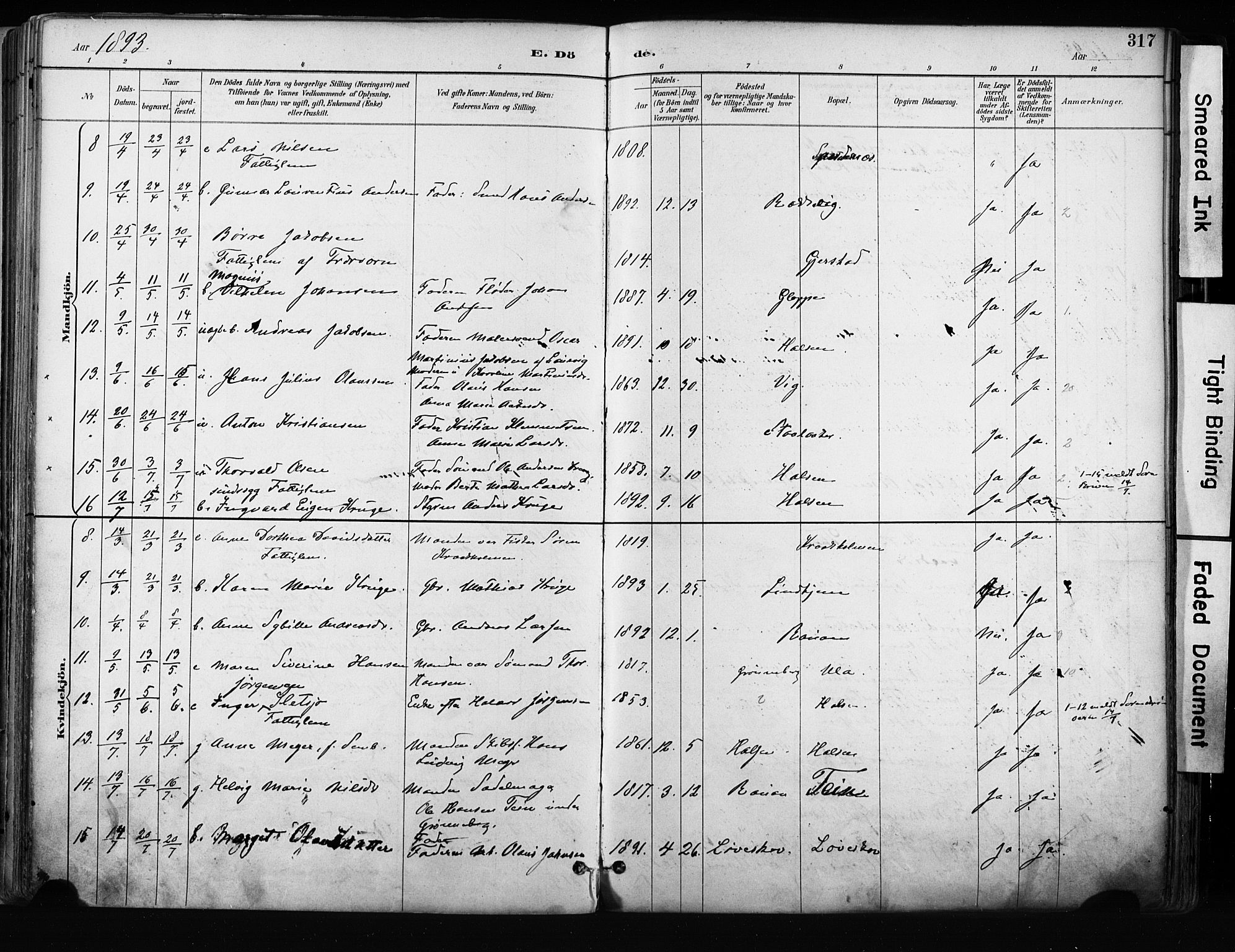 Tjølling kirkebøker, AV/SAKO-A-60/F/Fa/L0009: Parish register (official) no. 9, 1887-1905, p. 317