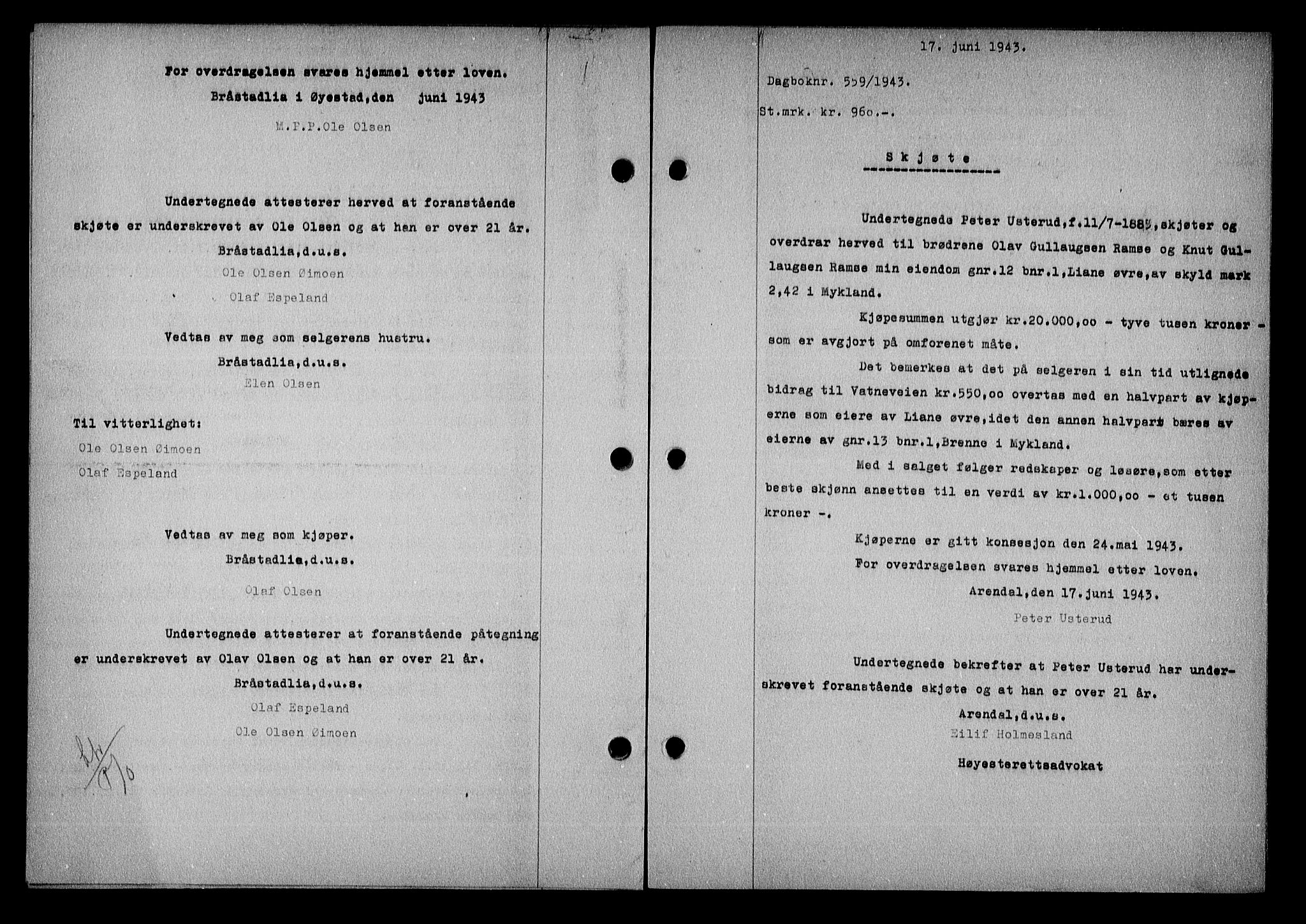 Nedenes sorenskriveri, SAK/1221-0006/G/Gb/Gba/L0050: Mortgage book no. A-IV, 1942-1943, Diary no: : 559/1943