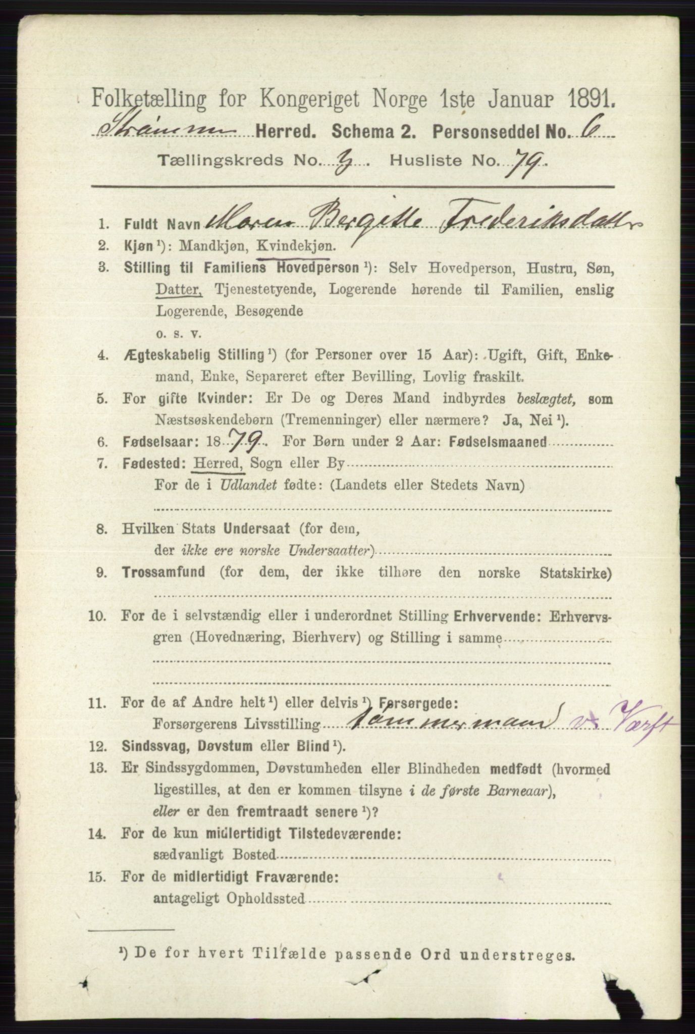 RA, 1891 census for 0711 Strømm, 1891, p. 1507