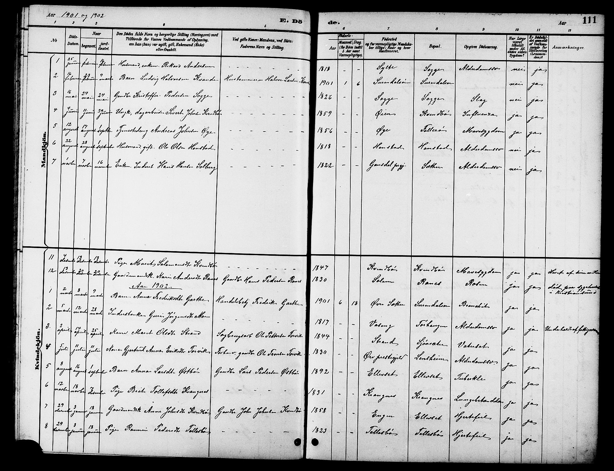 Ministerialprotokoller, klokkerbøker og fødselsregistre - Møre og Romsdal, AV/SAT-A-1454/596/L1058: Parish register (copy) no. 596C01, 1891-1907, p. 111