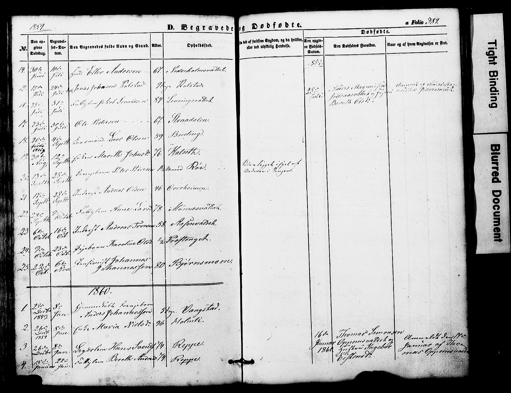 Ministerialprotokoller, klokkerbøker og fødselsregistre - Nord-Trøndelag, SAT/A-1458/724/L0268: Parish register (copy) no. 724C04, 1846-1878, p. 384