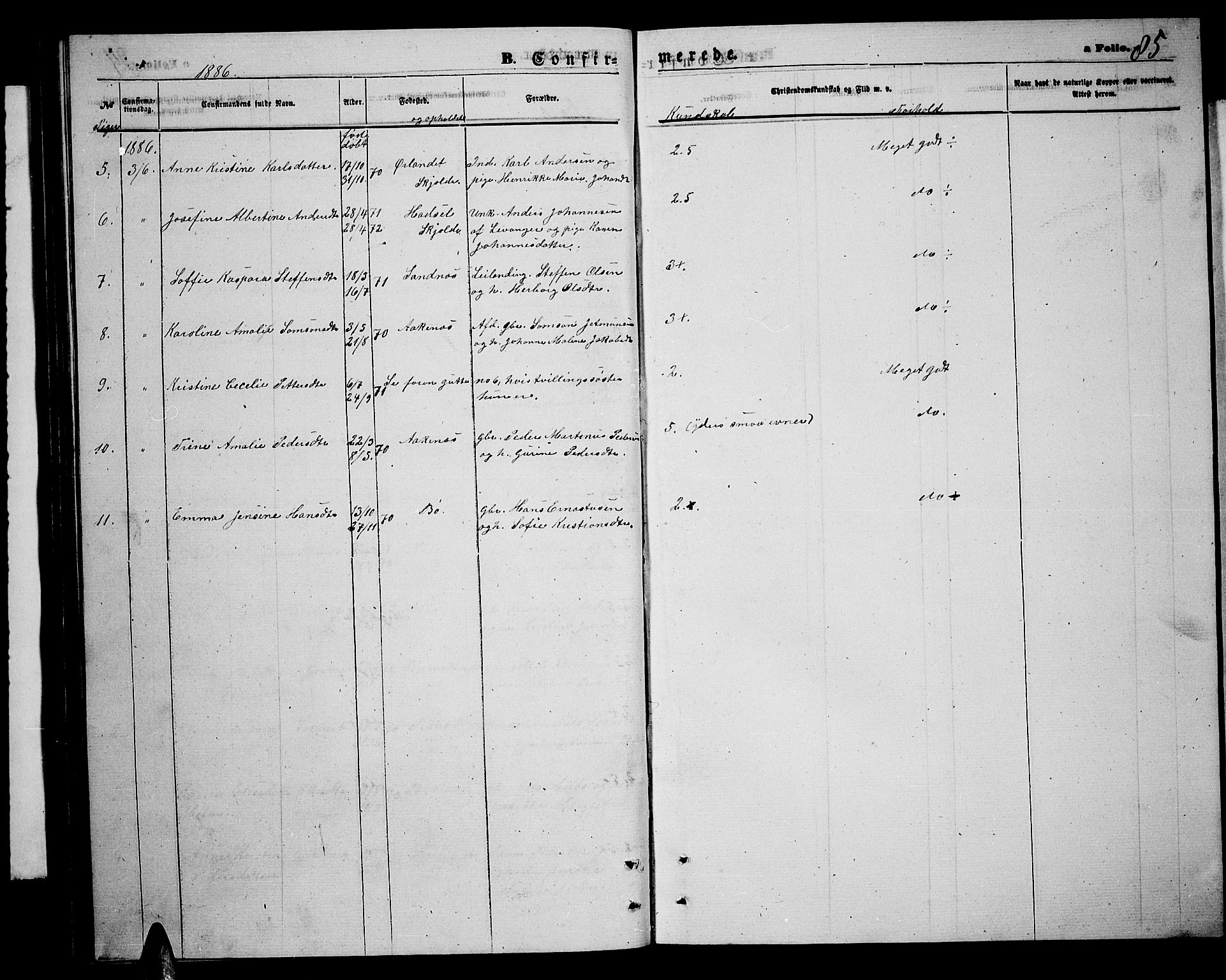 Ministerialprotokoller, klokkerbøker og fødselsregistre - Nordland, SAT/A-1459/898/L1426: Parish register (copy) no. 898C01, 1869-1886, p. 85