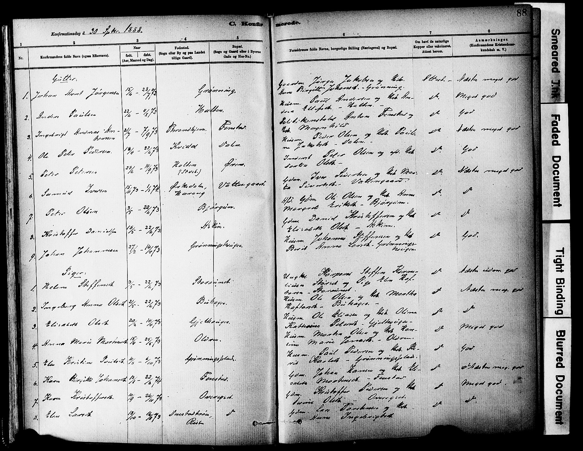 Ministerialprotokoller, klokkerbøker og fødselsregistre - Sør-Trøndelag, SAT/A-1456/646/L0615: Parish register (official) no. 646A13, 1885-1900, p. 88