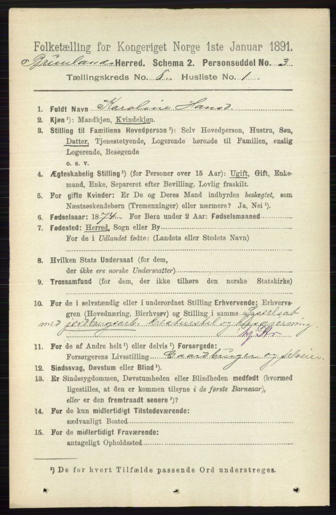 RA, 1891 census for 0726 Brunlanes, 1891, p. 3575