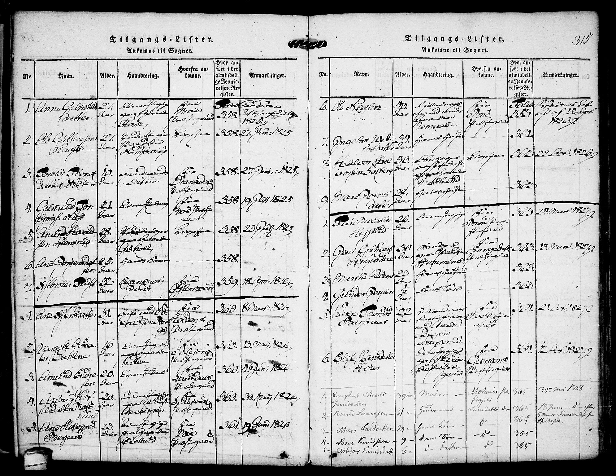 Kviteseid kirkebøker, SAKO/A-276/F/Fa/L0005: Parish register (official) no. I 5, 1815-1836, p. 315