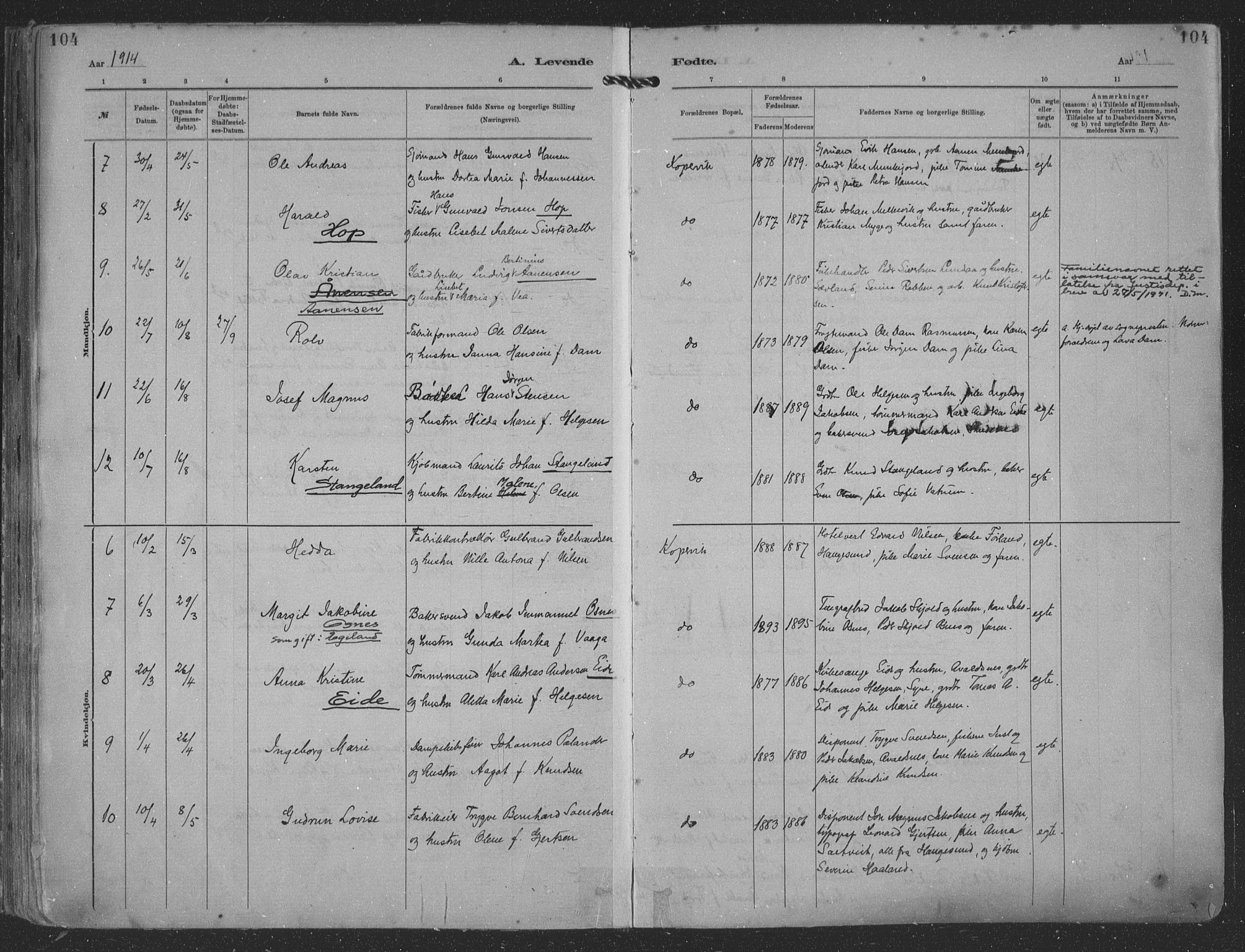 Kopervik sokneprestkontor, AV/SAST-A-101850/H/Ha/Haa/L0001: Parish register (official) no. A 1, 1880-1919, p. 104