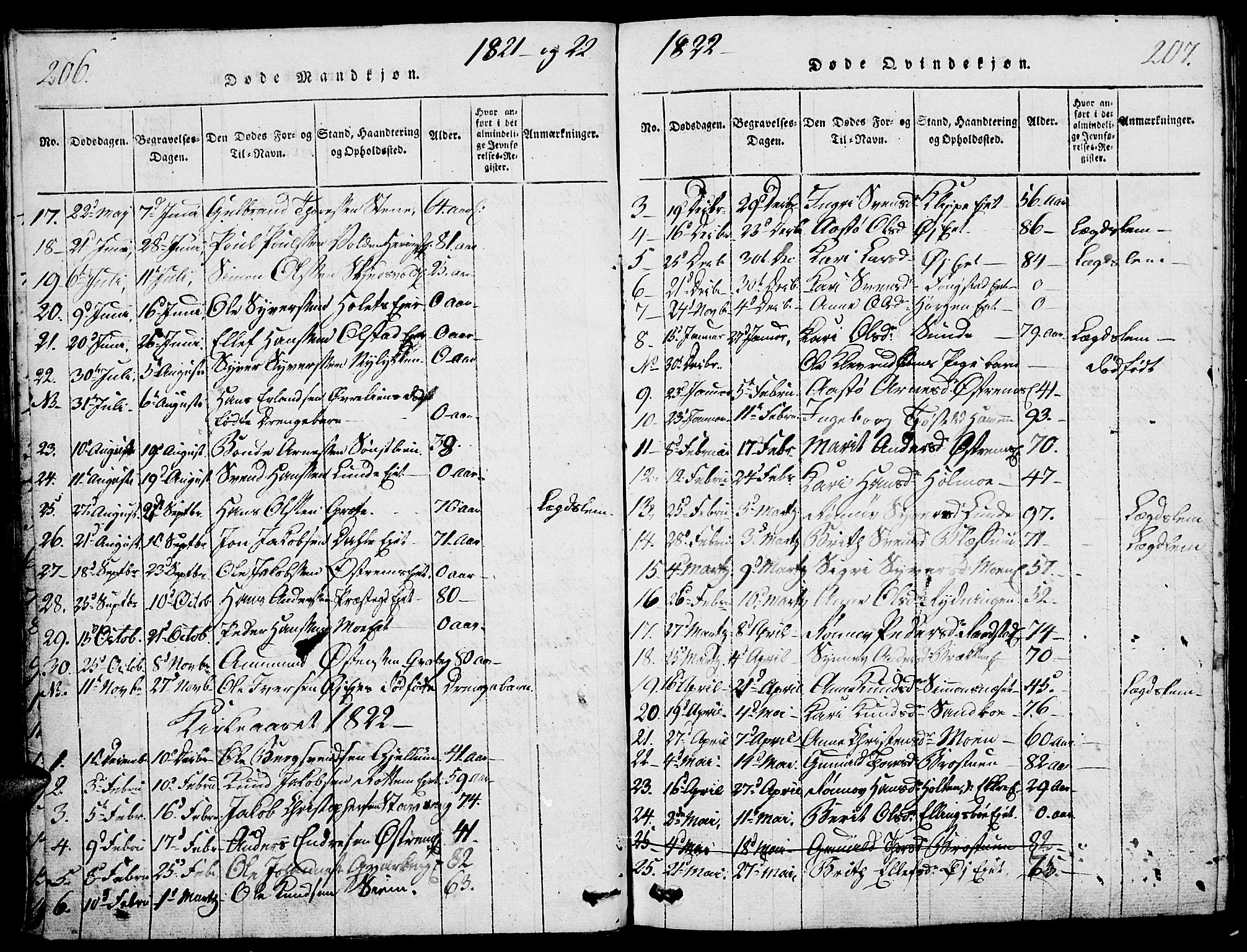 Vågå prestekontor, SAH/PREST-076/H/Ha/Haa/L0003: Parish register (official) no. 3, 1815-1827, p. 206-207