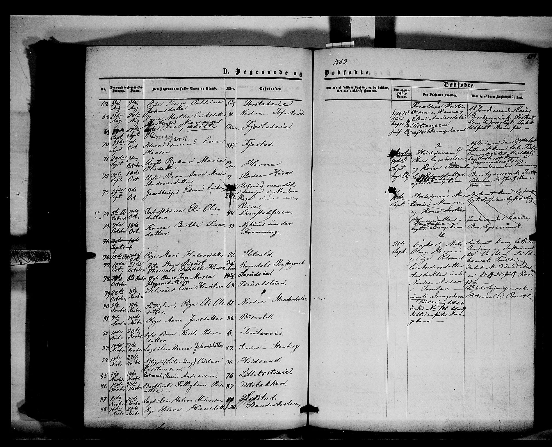 Romedal prestekontor, AV/SAH-PREST-004/K/L0005: Parish register (official) no. 5, 1862-1874, p. 254