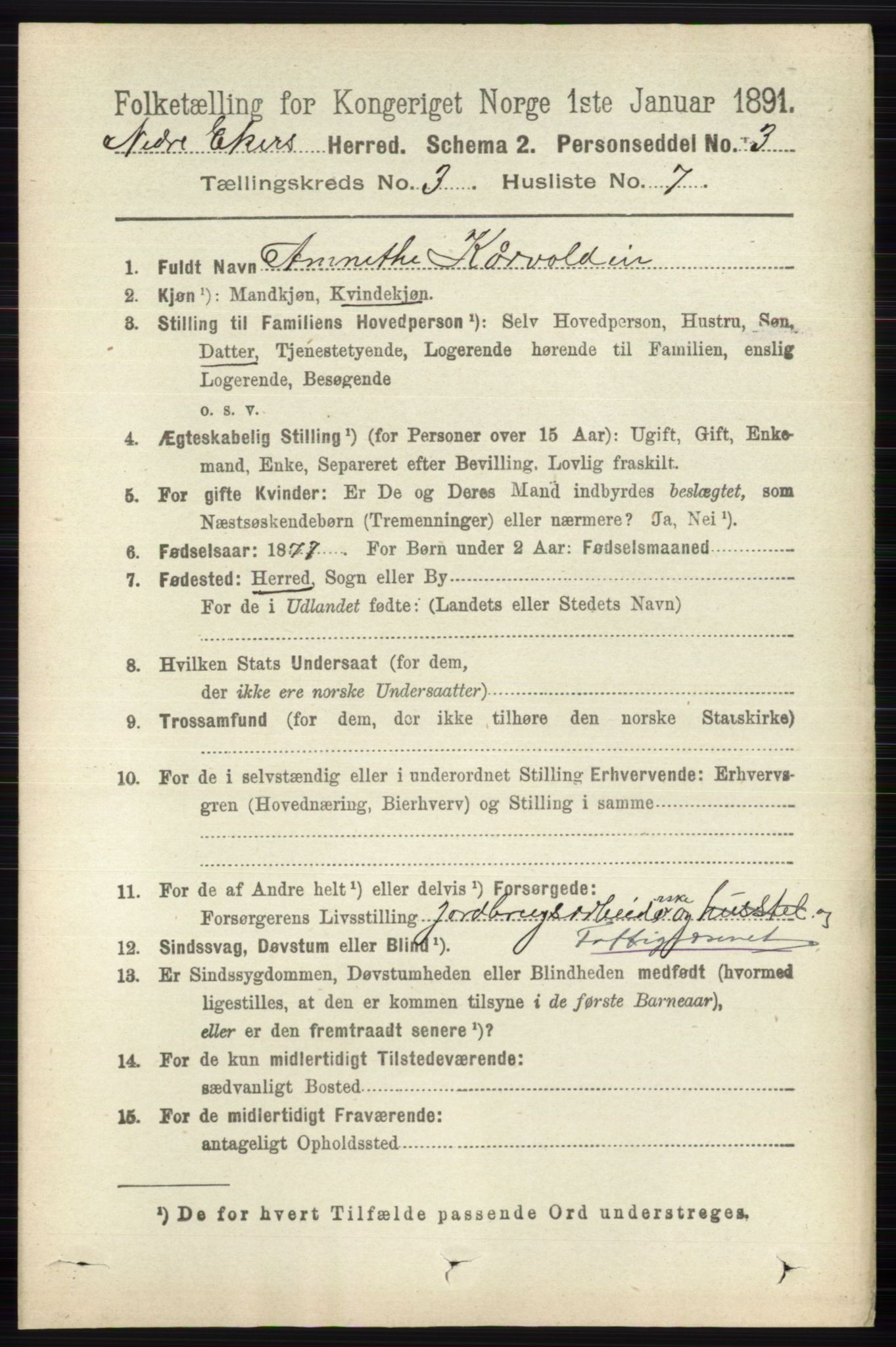 RA, 1891 census for 0625 Nedre Eiker, 1891, p. 1226