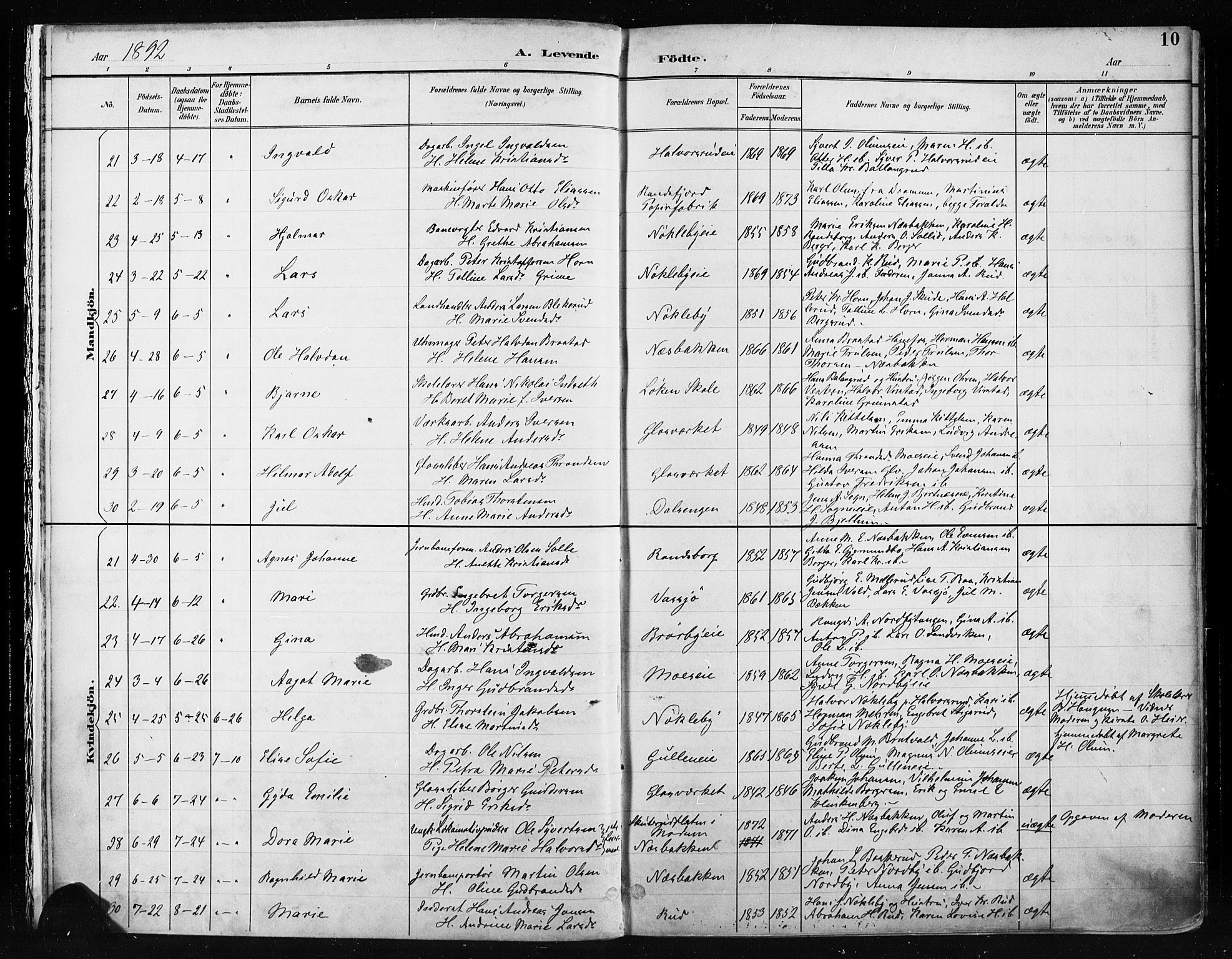 Jevnaker prestekontor, SAH/PREST-116/H/Ha/Haa/L0009: Parish register (official) no. 9, 1891-1901, p. 10