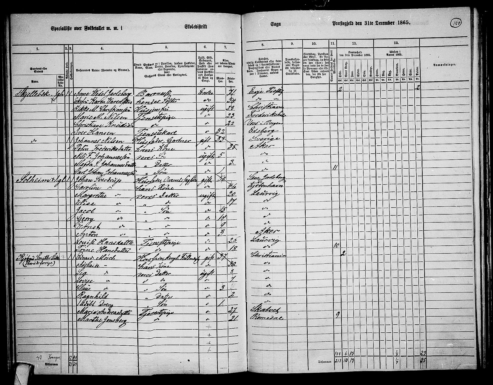 RA, 1865 census for Vestre Aker, 1865, p. 316