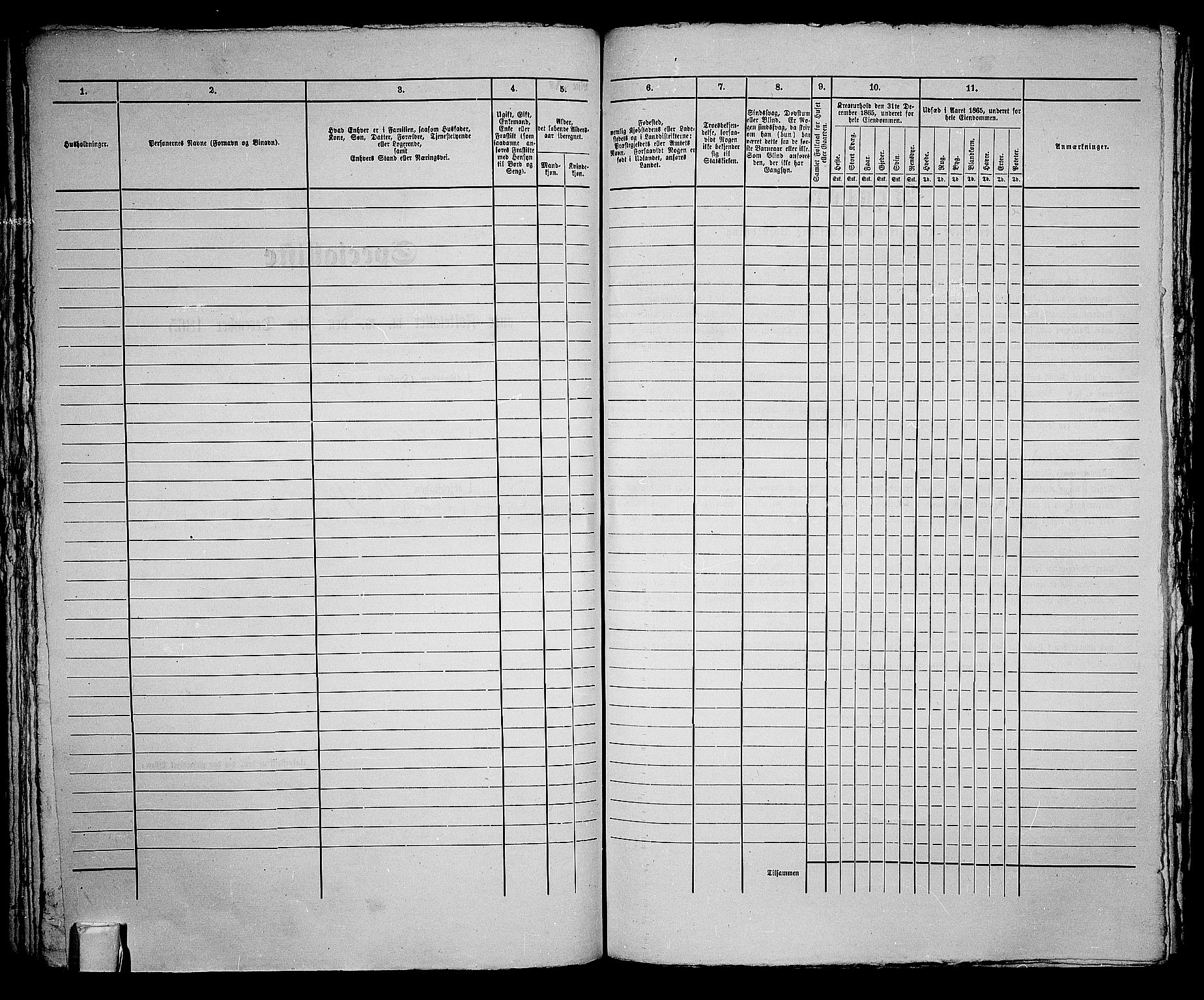 RA, 1865 census for Norderhov/Hønefoss, 1865, p. 161