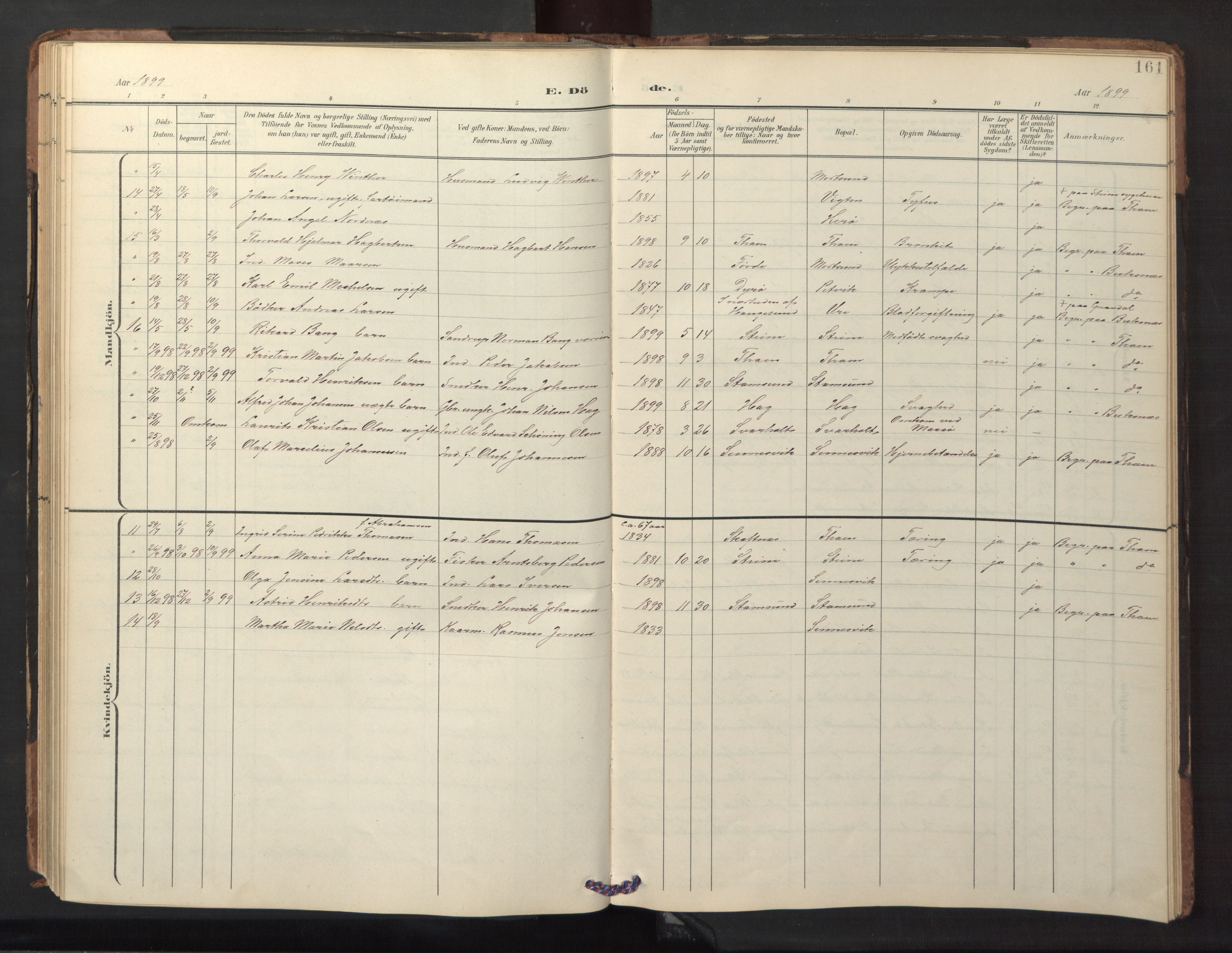 Ministerialprotokoller, klokkerbøker og fødselsregistre - Nordland, AV/SAT-A-1459/882/L1185: Parish register (copy) no. 882C03, 1898-1910, p. 161