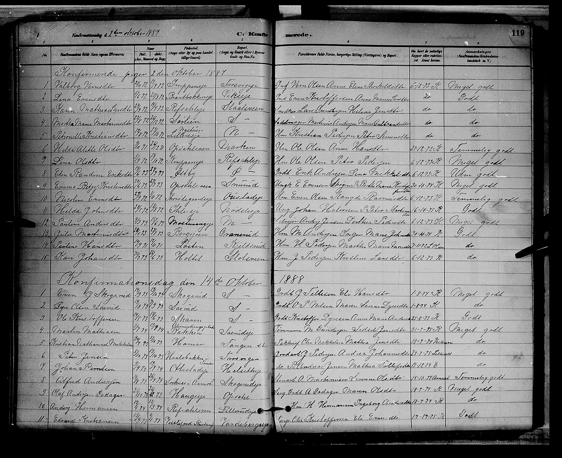 Stange prestekontor, SAH/PREST-002/L/L0008: Parish register (copy) no. 8, 1882-1895, p. 119
