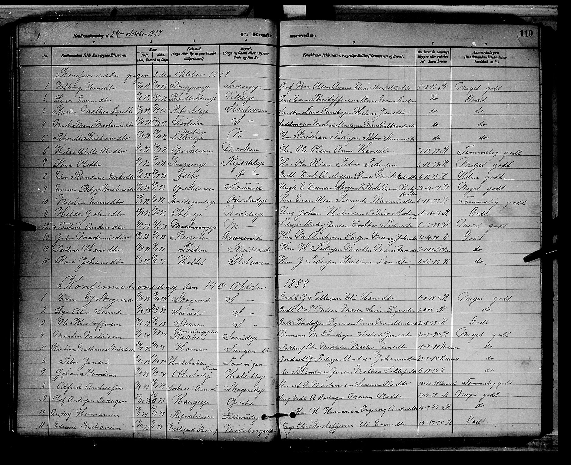 Stange prestekontor, AV/SAH-PREST-002/L/L0008: Parish register (copy) no. 8, 1882-1895, p. 119