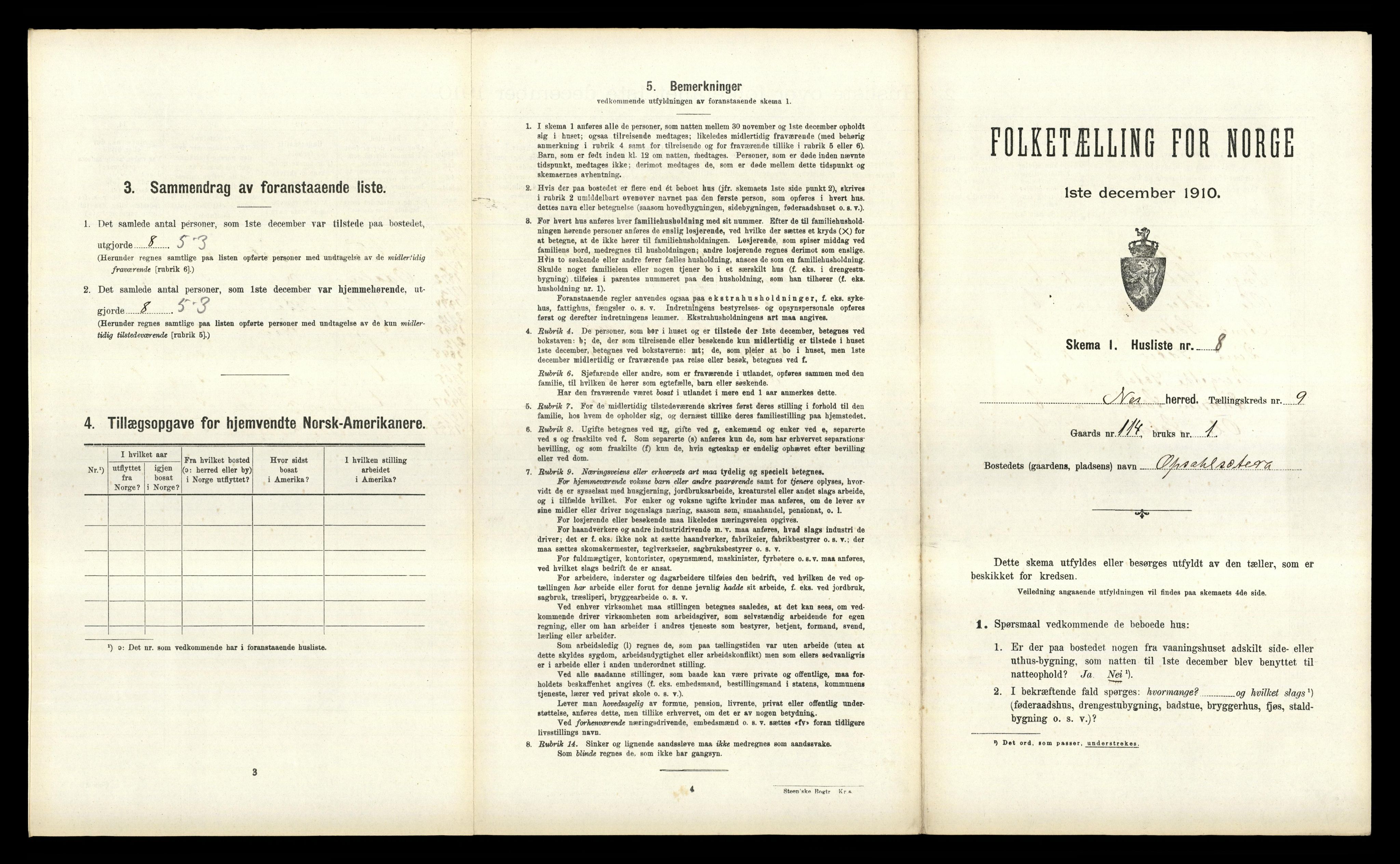 RA, 1910 census for Nes, 1910, p. 1310