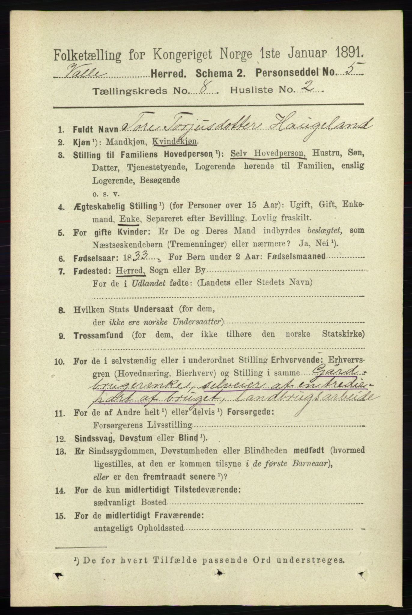 RA, 1891 census for 0940 Valle, 1891, p. 2246