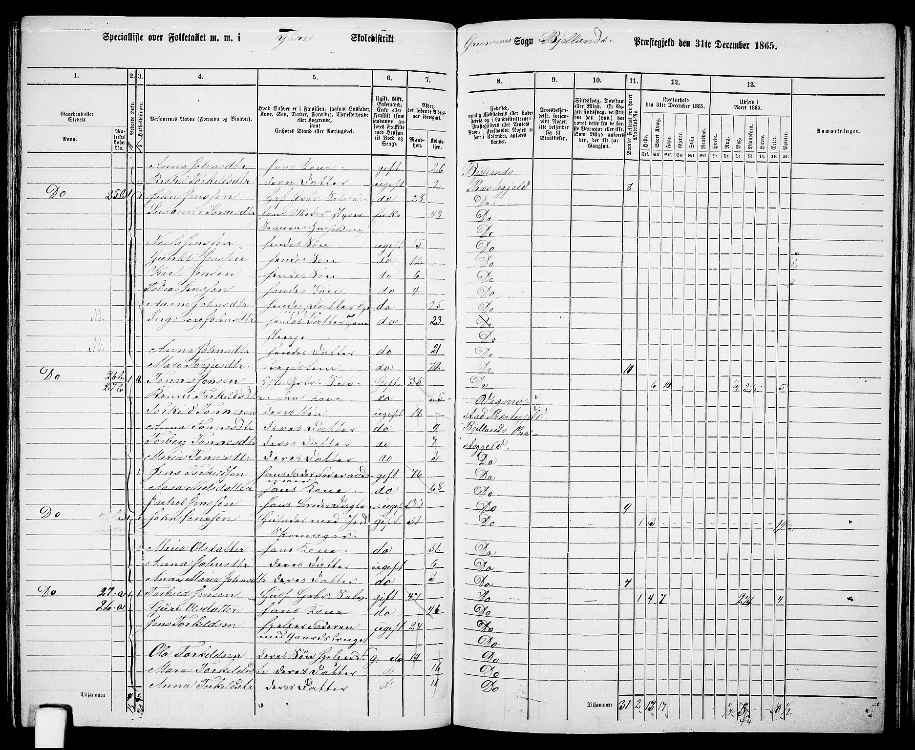 RA, 1865 census for Bjelland, 1865, p. 50