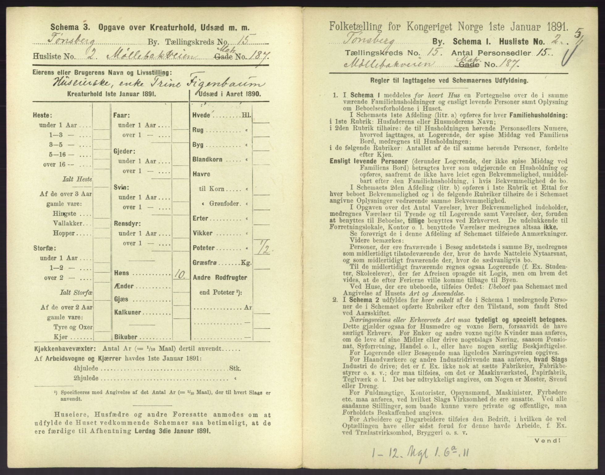 RA, 1891 census for 0705 Tønsberg, 1891, p. 550