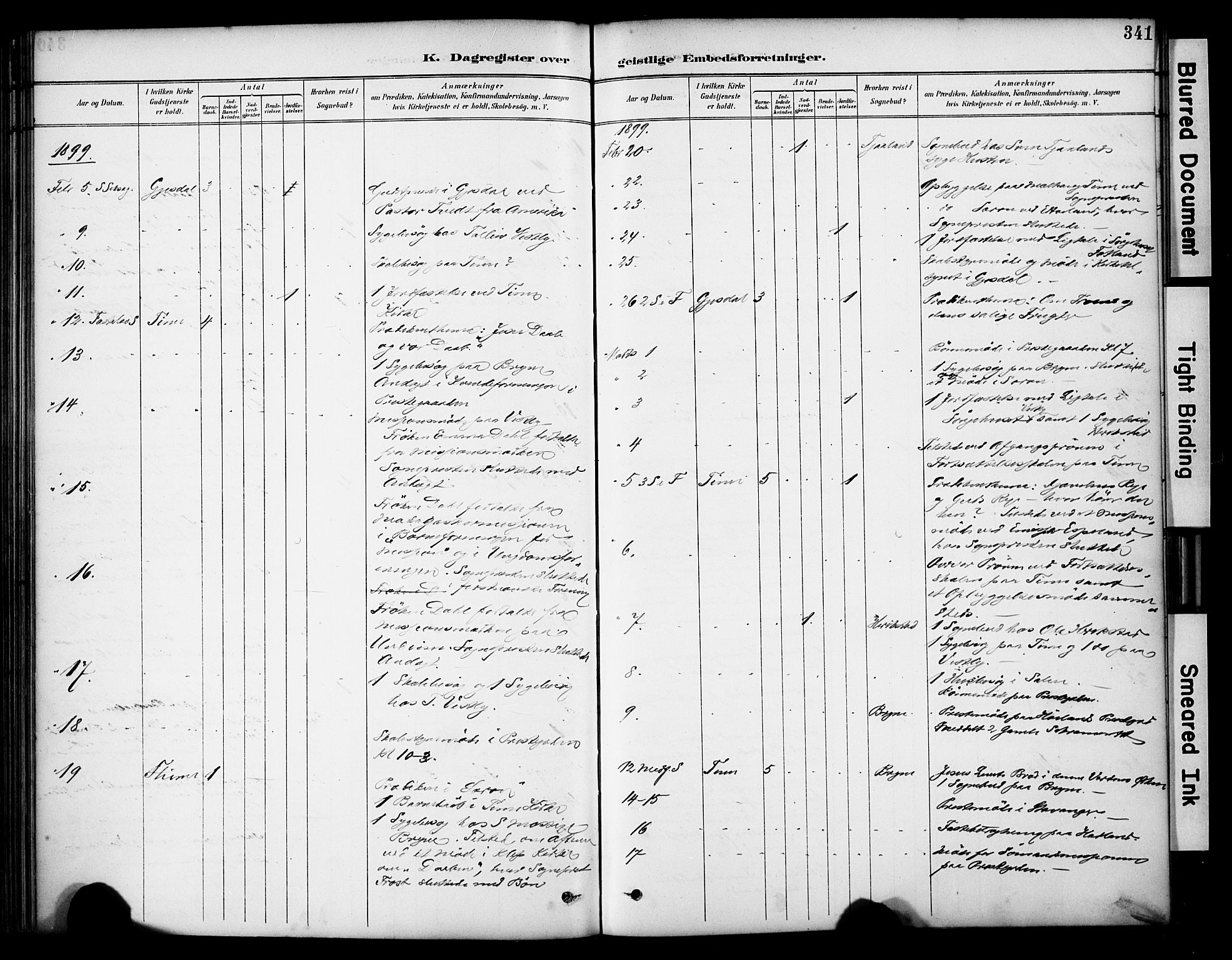 Lye sokneprestkontor, SAST/A-101794/001/30BA/L0011: Parish register (official) no. A 9, 1893-1903, p. 341