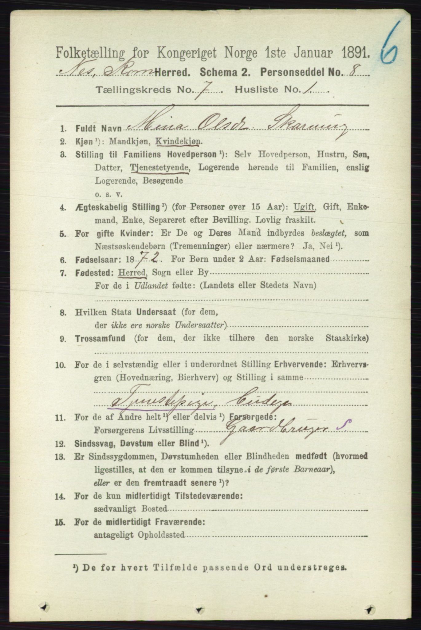 RA, 1891 census for 0236 Nes, 1891, p. 4019