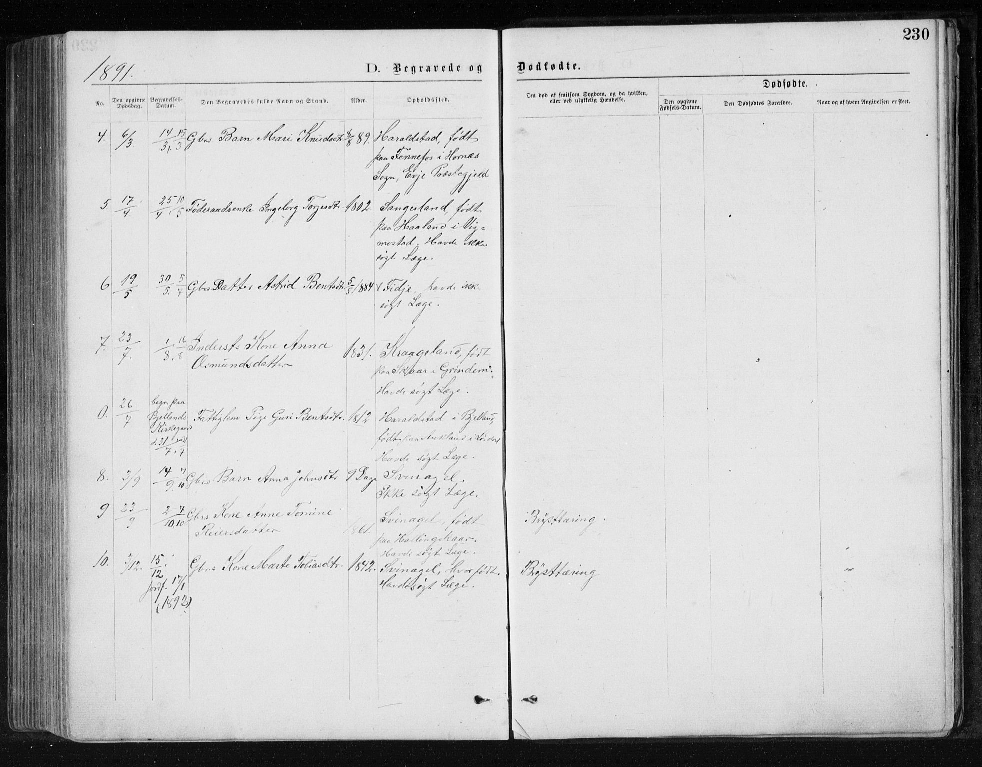 Holum sokneprestkontor, AV/SAK-1111-0022/F/Fb/Fbb/L0003: Parish register (copy) no. B 3, 1875-1898, p. 230