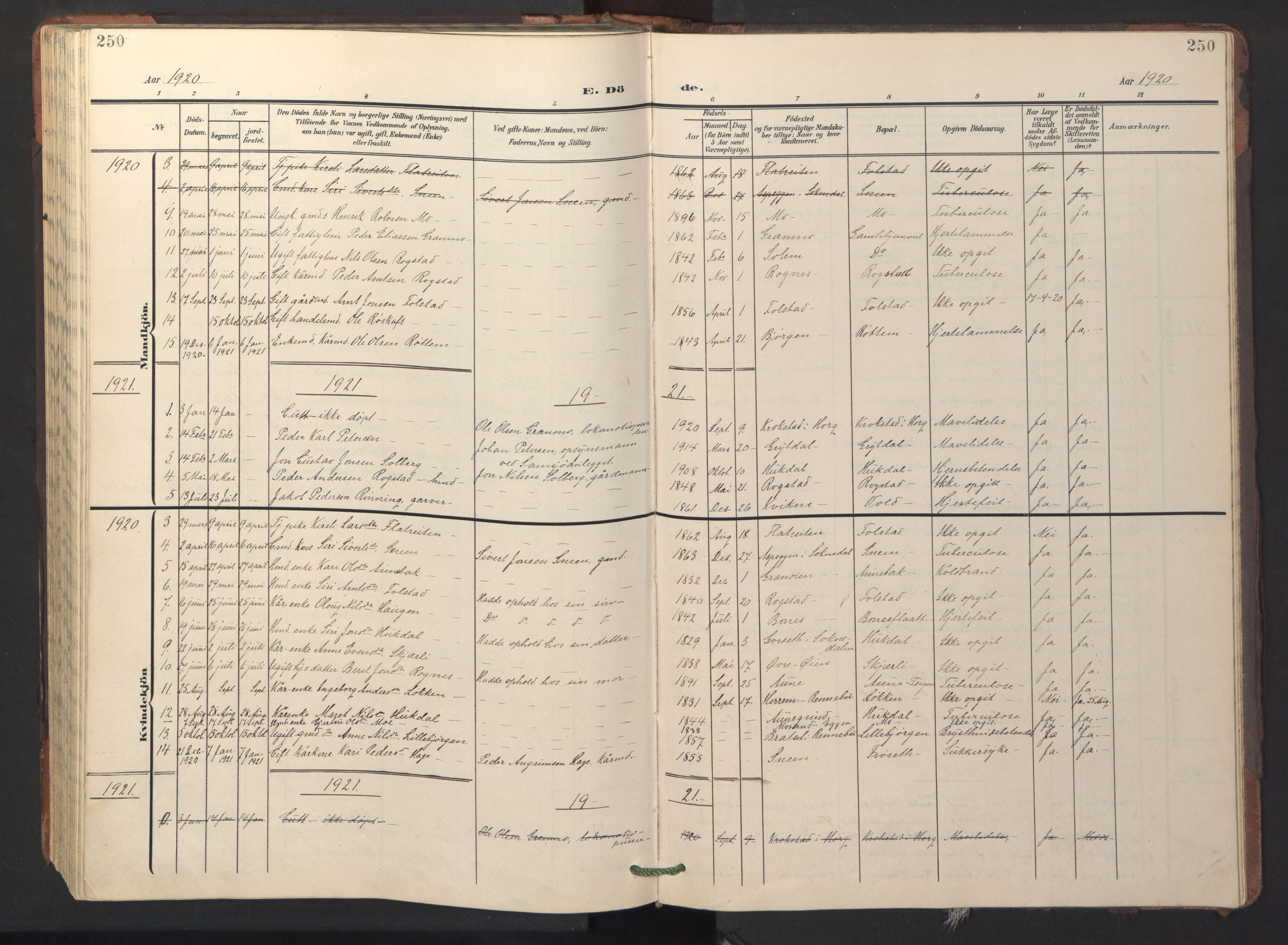 Ministerialprotokoller, klokkerbøker og fødselsregistre - Sør-Trøndelag, SAT/A-1456/687/L1019: Parish register (copy) no. 687C03, 1904-1931, p. 250
