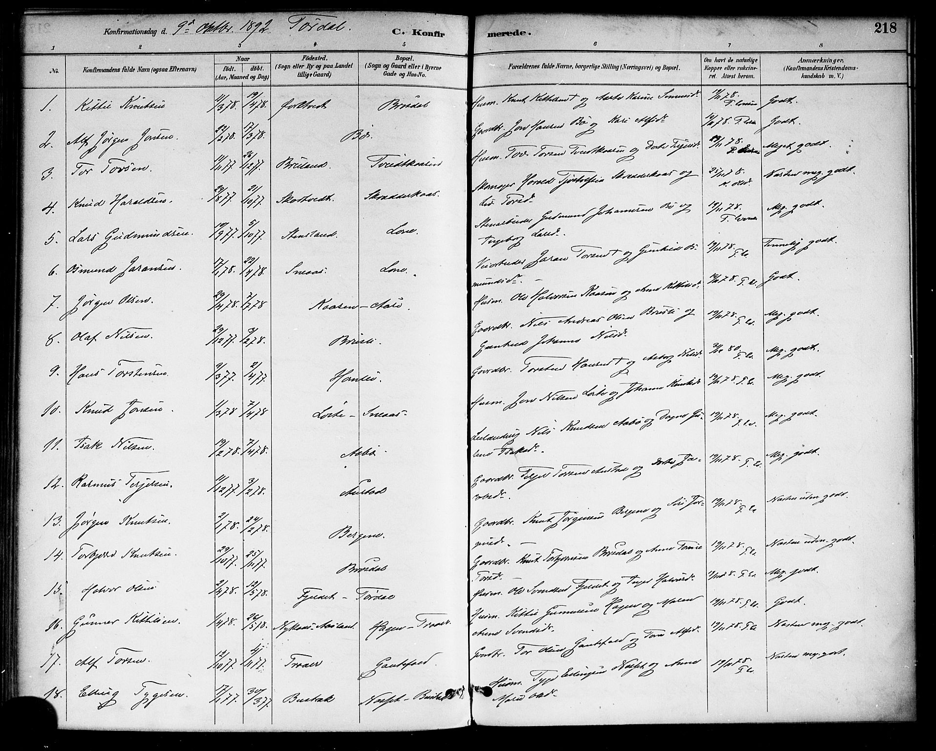 Drangedal kirkebøker, SAKO/A-258/F/Fa/L0010: Parish register (official) no. 10 /2, 1885-1894, p. 218