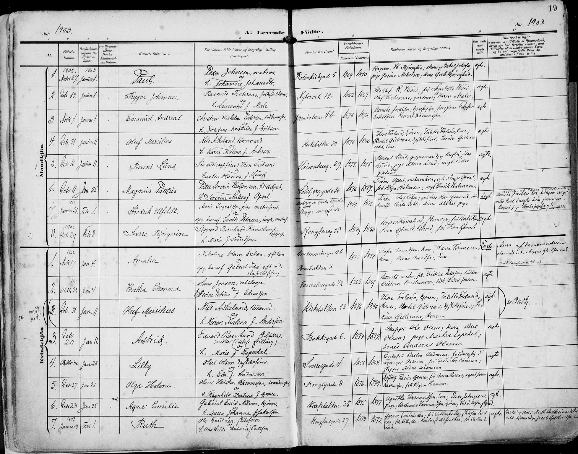 St. Petri sokneprestkontor, AV/SAST-A-101813/002/A/L0005: Parish register (official) no. A 23, 1902-1918, p. 19