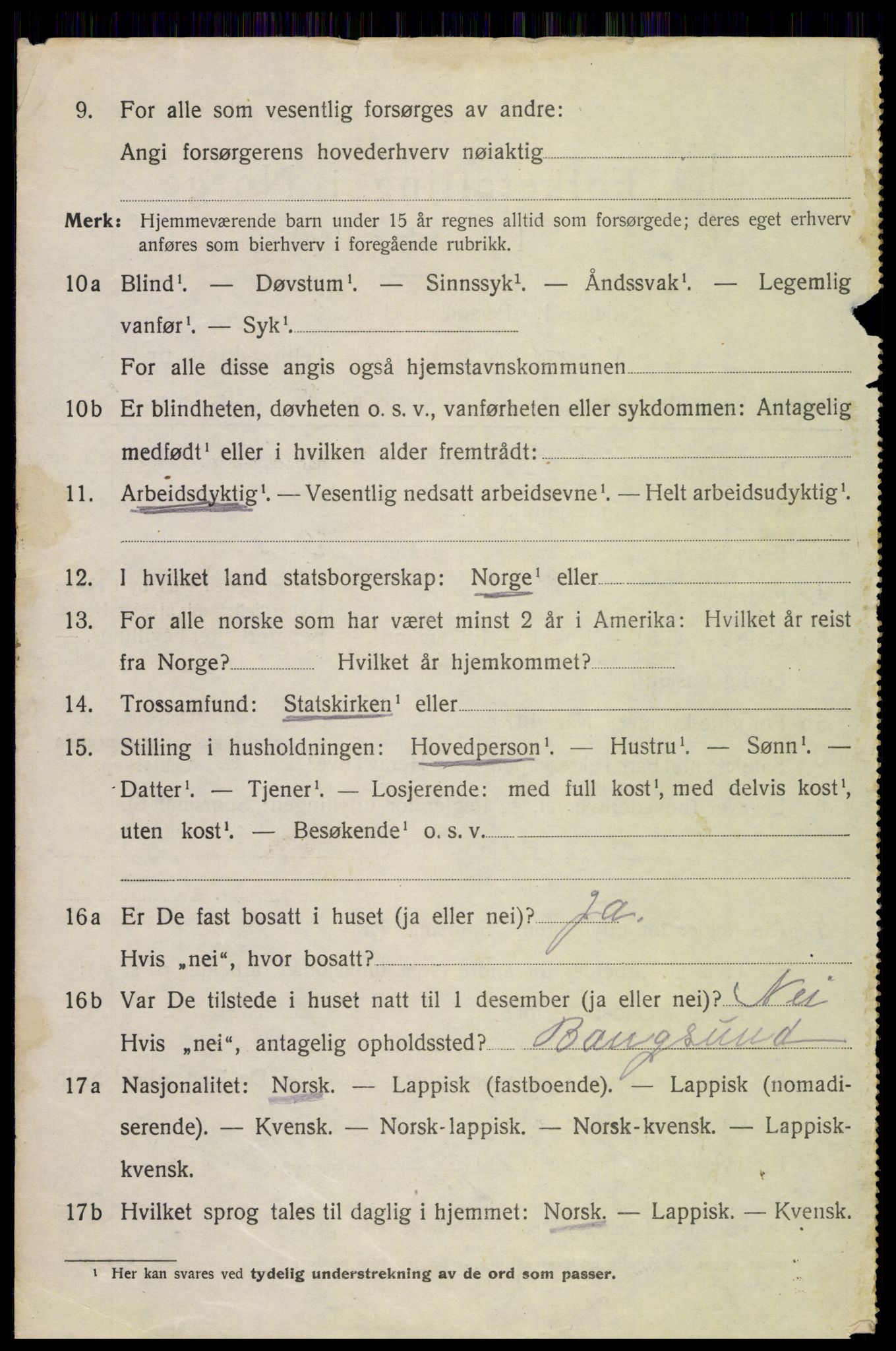 SAT, 1920 census for Bodin, 1920, p. 2105