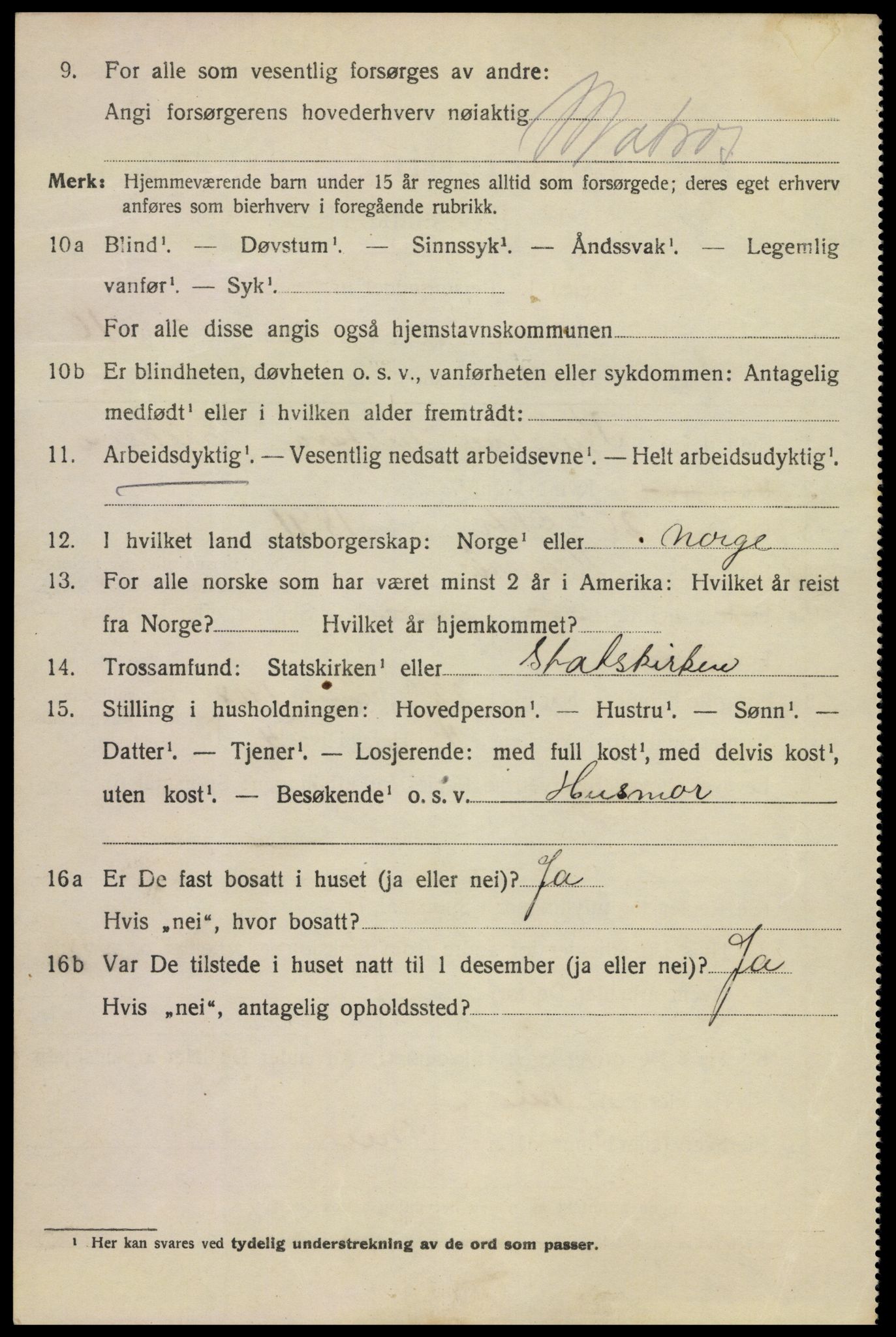 SAKO, 1920 census for Kragerø, 1920, p. 13868