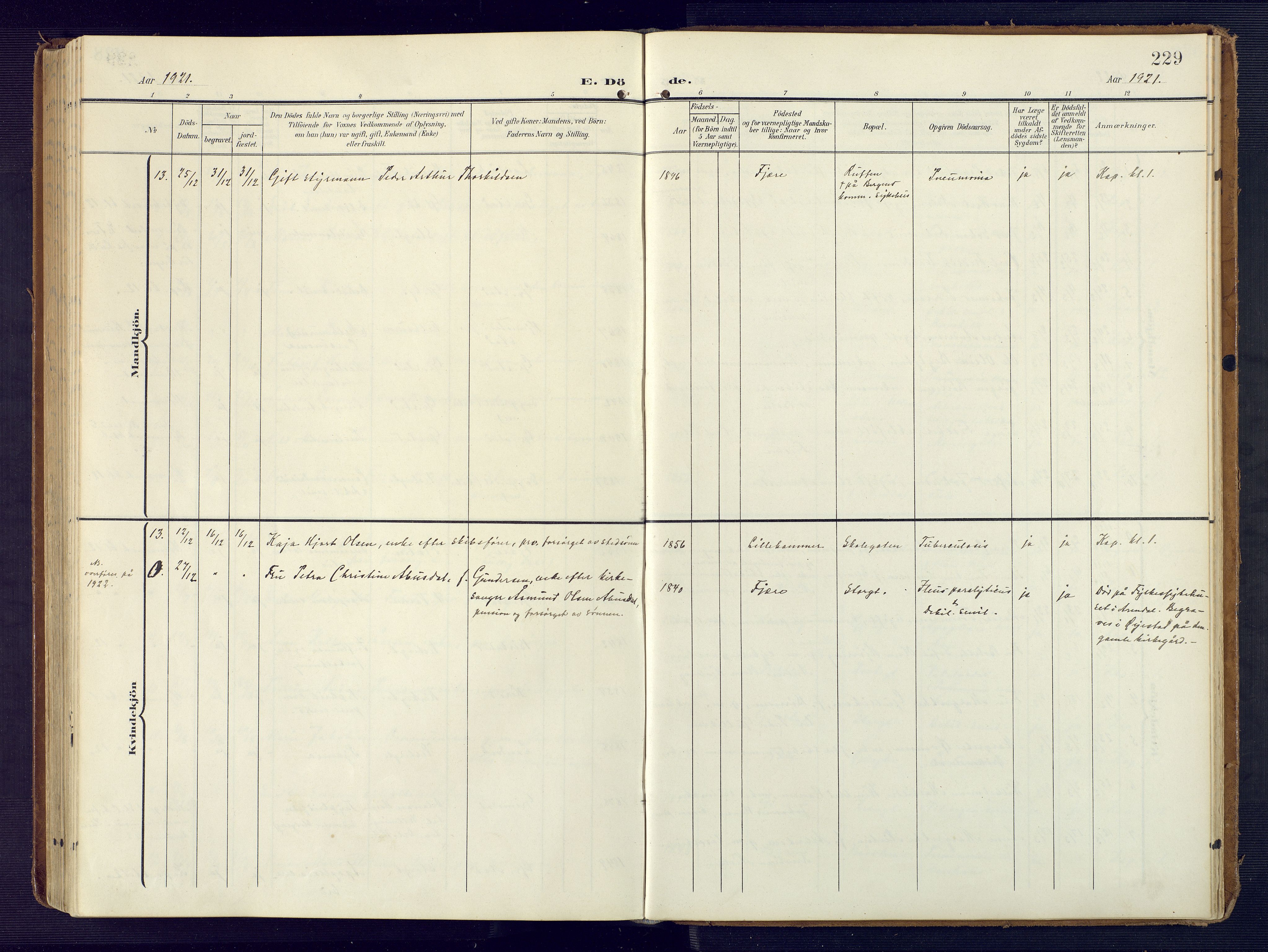 Grimstad sokneprestkontor, AV/SAK-1111-0017/F/Fa/L0005: Parish register (official) no. A 4, 1911-1924, p. 229