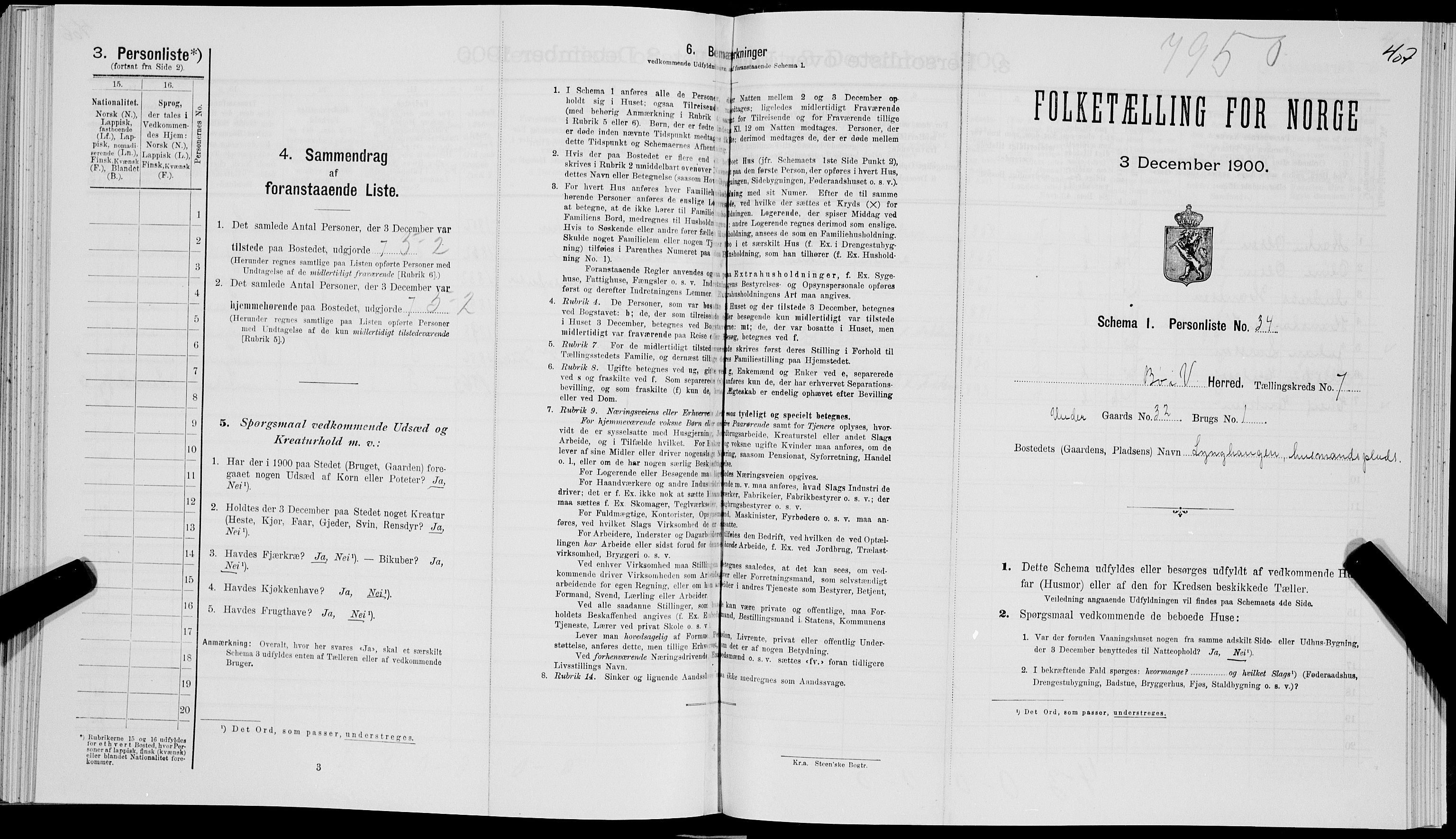 SAT, 1900 census for Bø, 1900, p. 818