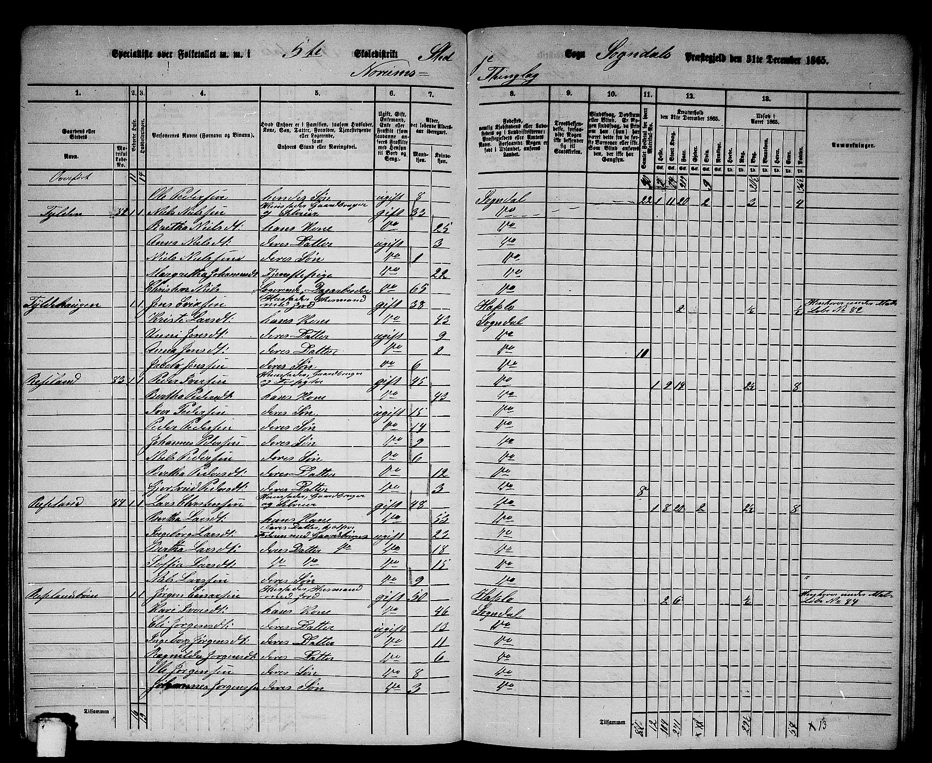 RA, 1865 census for Sogndal, 1865, p. 101