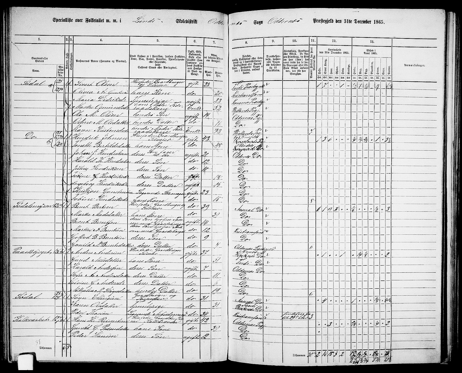 RA, 1865 census for Oddernes, 1865, p. 83