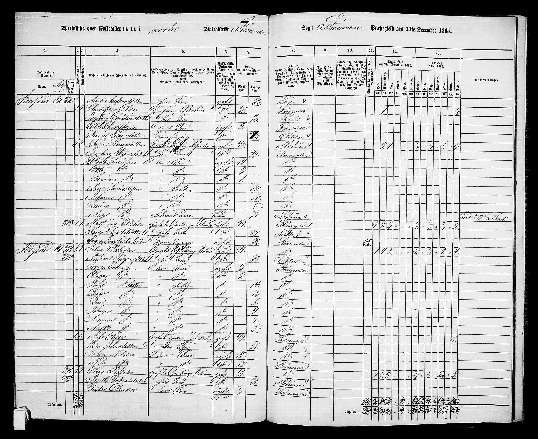 RA, 1865 census for Strømm, 1865, p. 45