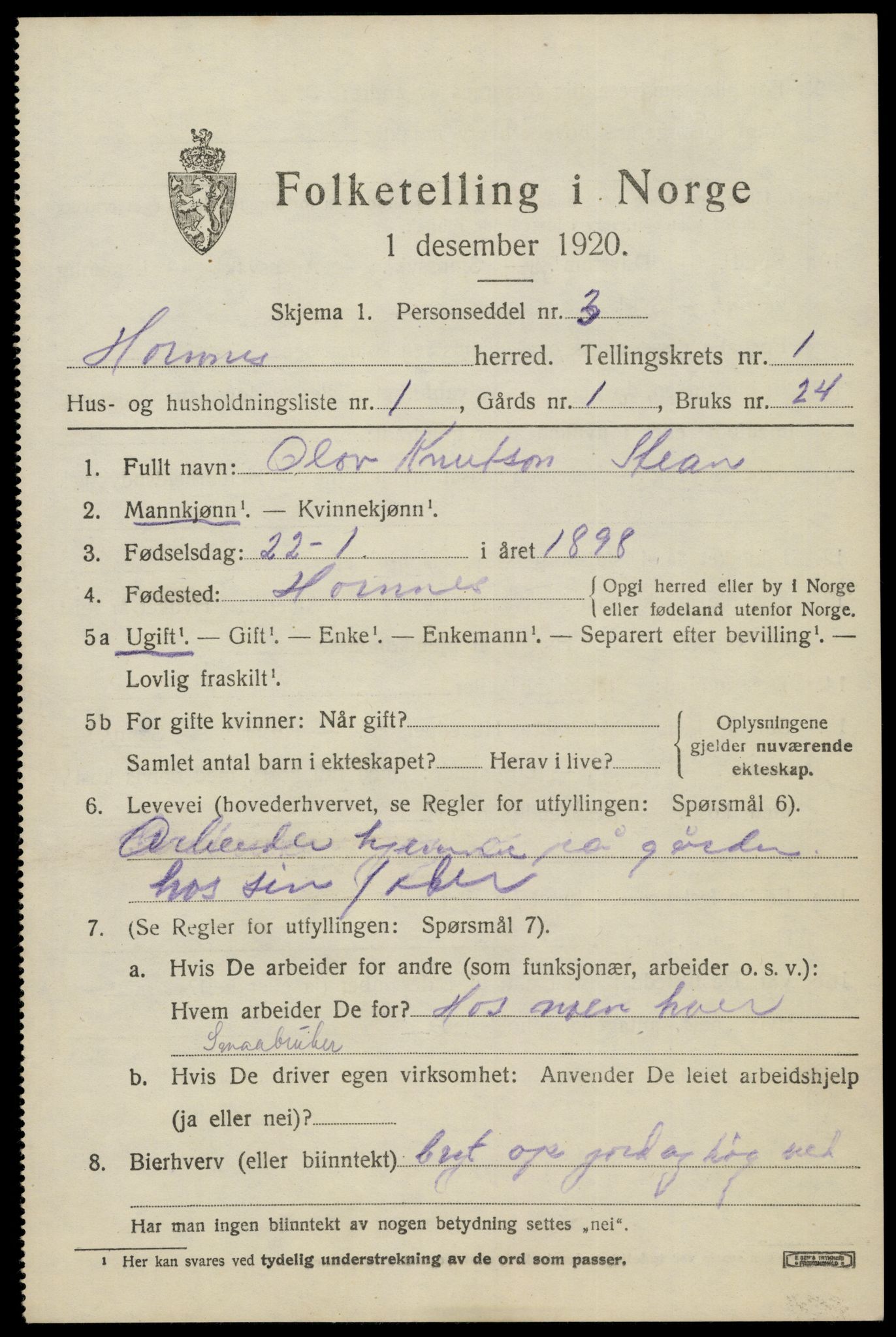 SAK, 1920 census for Hornnes, 1920, p. 563