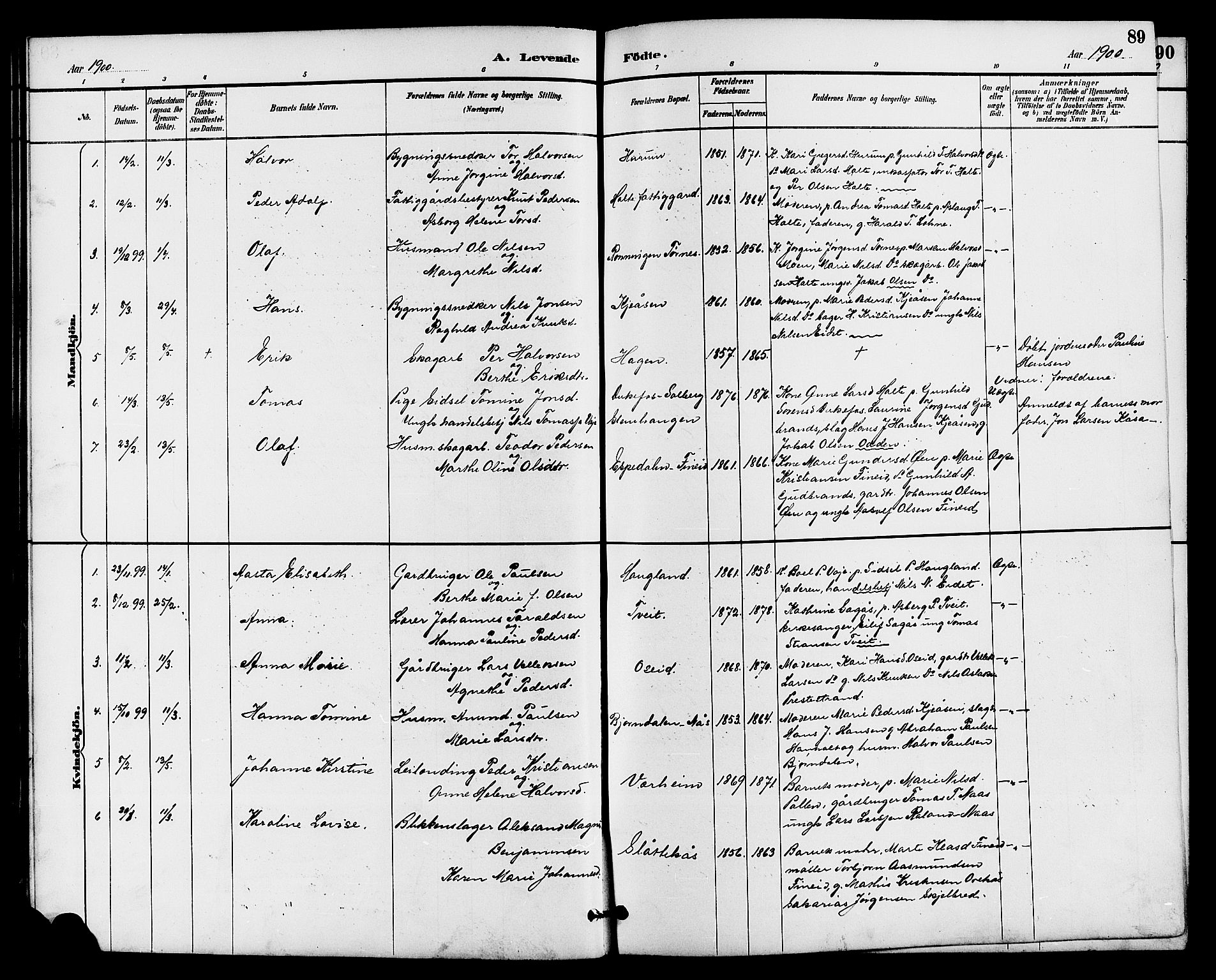 Drangedal kirkebøker, SAKO/A-258/G/Ga/L0003: Parish register (copy) no. I 3, 1887-1906, p. 90
