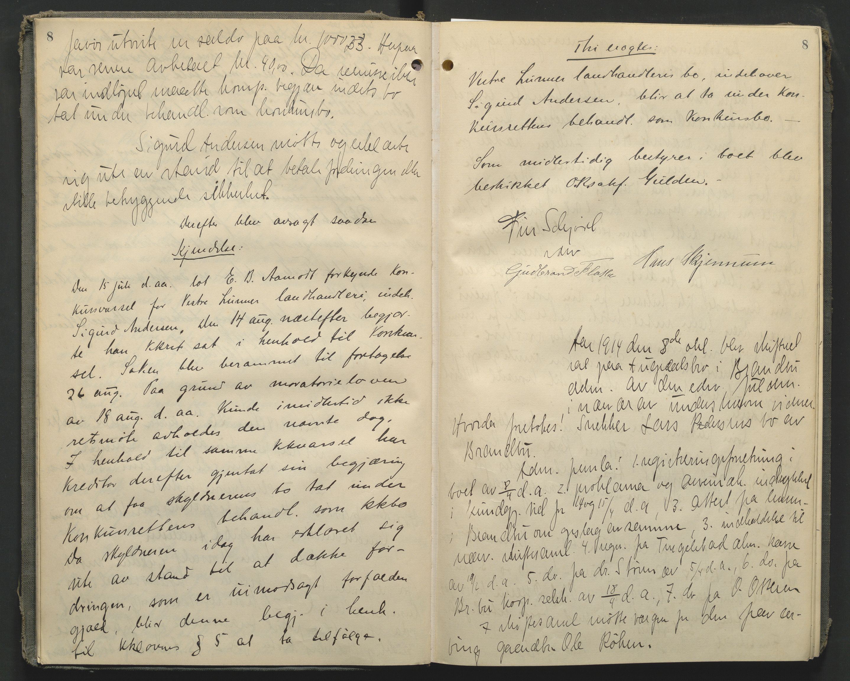 Hadeland og Land tingrett, AV/SAH-TING-010/J/Jc/L0010: Skifteforhandlingsprotokoll, 1914-1920, p. 8