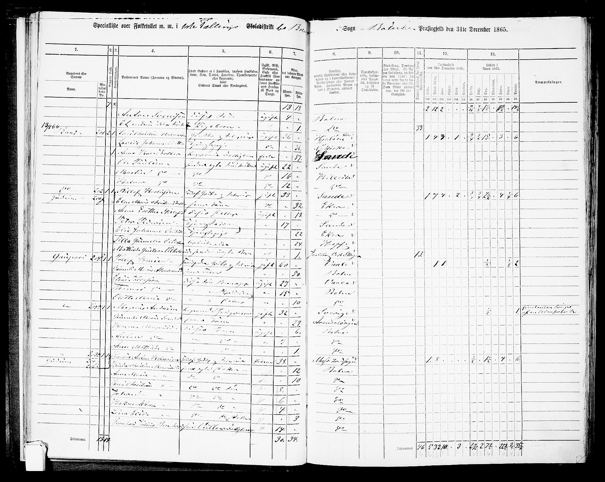 RA, 1865 census for Botne/Botne og Hillestad, 1865, p. 26