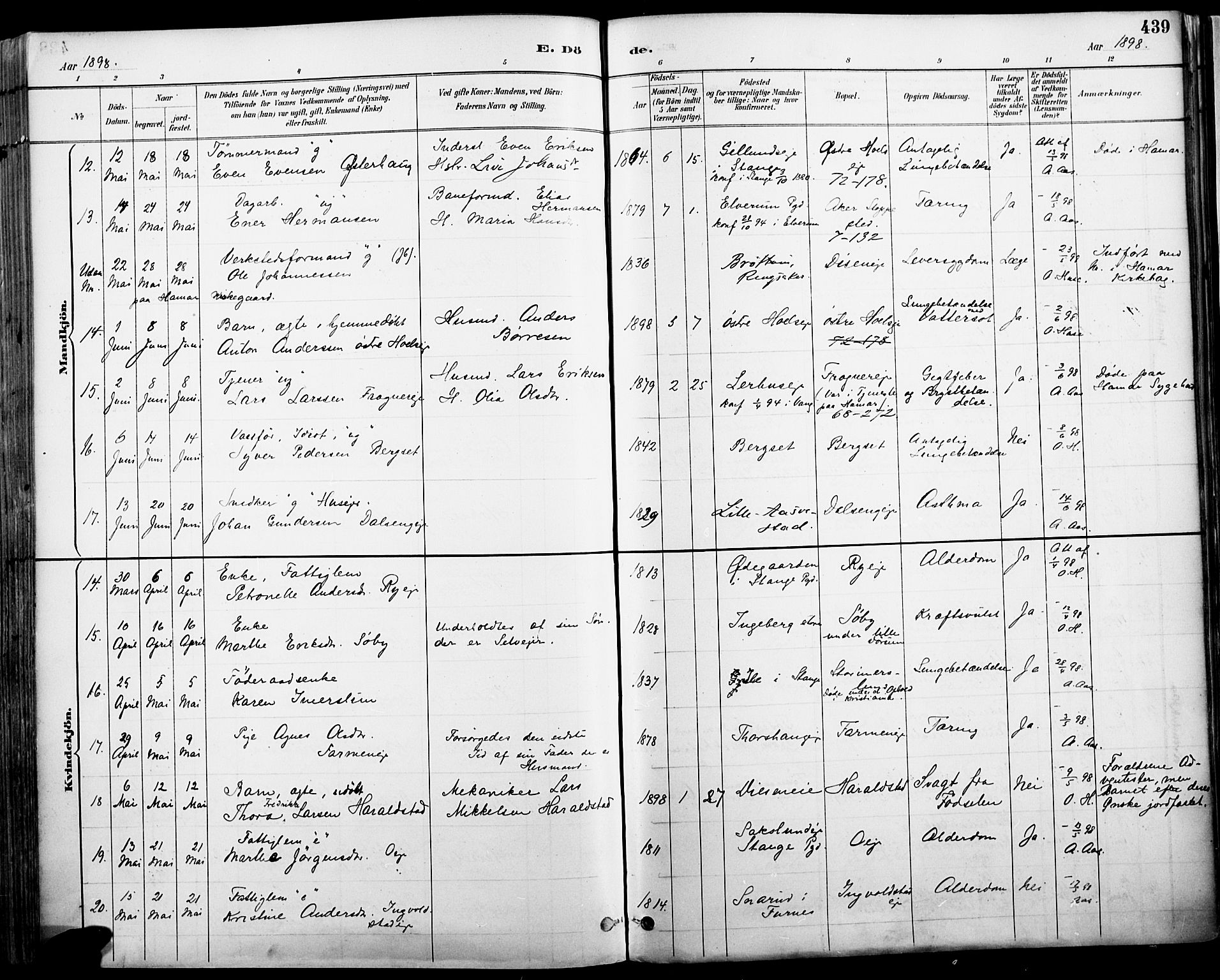 Vang prestekontor, Hedmark, AV/SAH-PREST-008/H/Ha/Haa/L0019A: Parish register (official) no. 19, 1886-1900, p. 439