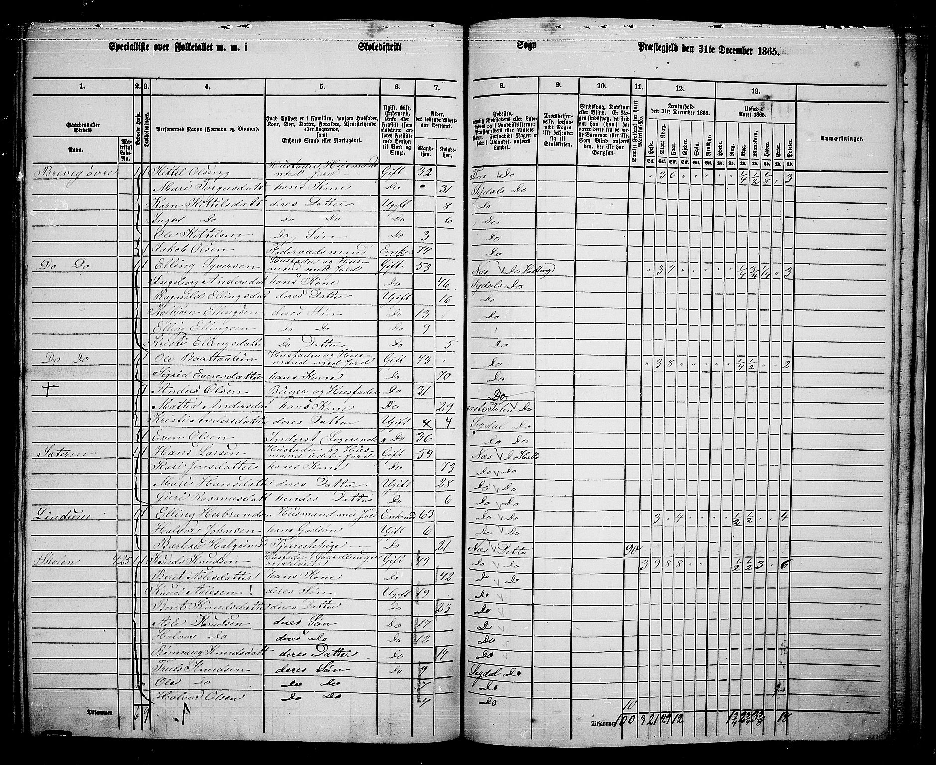 RA, 1865 census for Sigdal, 1865, p. 260