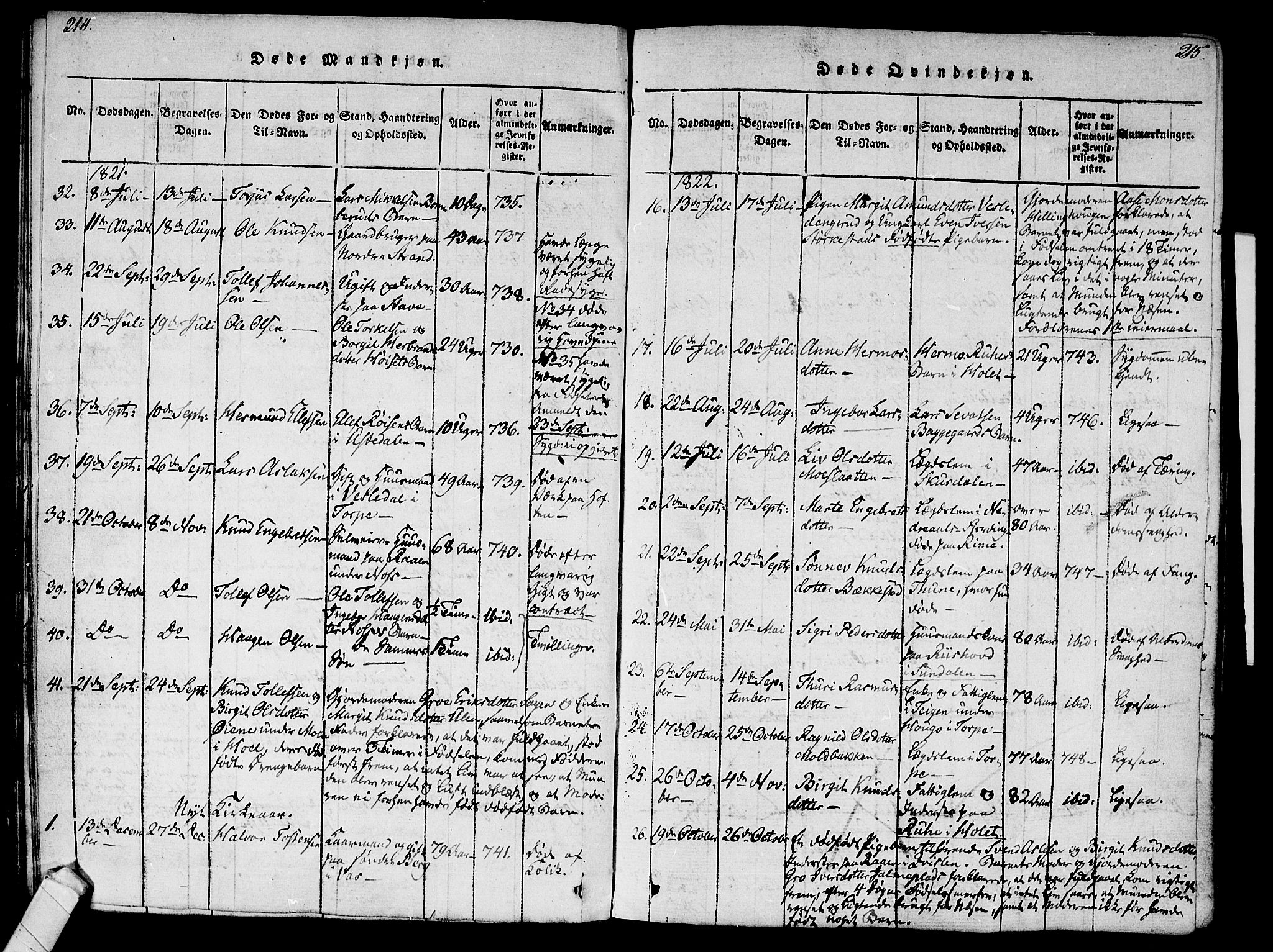 Ål kirkebøker, AV/SAKO-A-249/F/Fa/L0004: Parish register (official) no. I 4, 1815-1825, p. 214-215