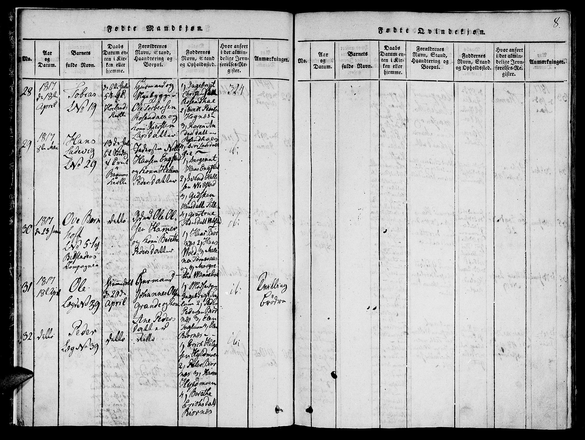 Ministerialprotokoller, klokkerbøker og fødselsregistre - Nord-Trøndelag, AV/SAT-A-1458/764/L0559: Parish register (copy) no. 764C01, 1816-1824, p. 8