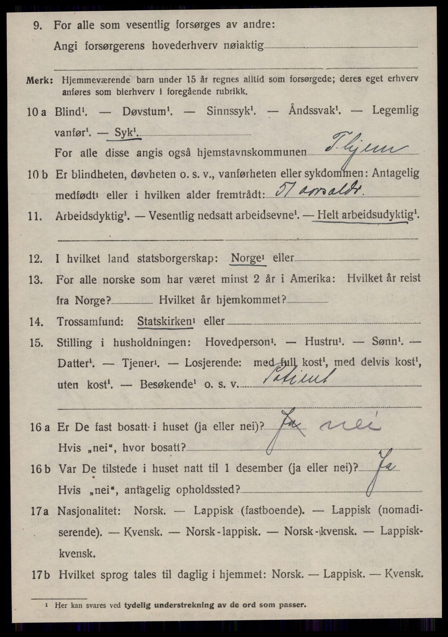 SAT, 1920 census for Hemne, 1920, p. 6115